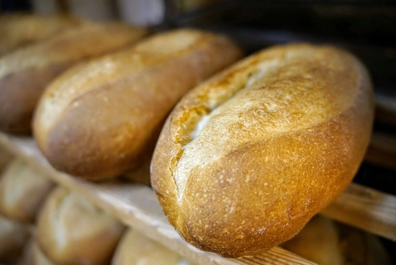Sabores del Pirineo: gastronomía local en el valle del Isábena | Hotel Casa Peix
