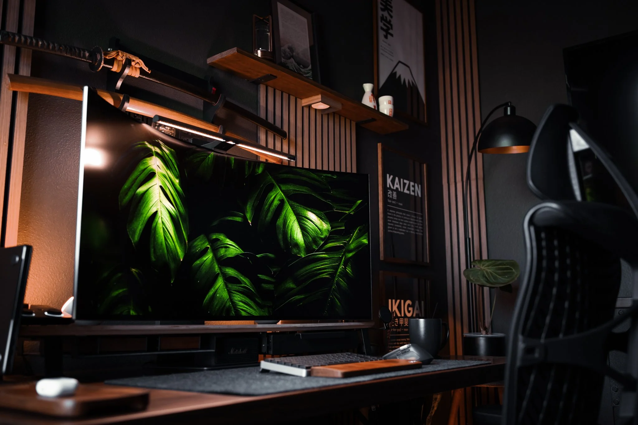 MY MONITOR