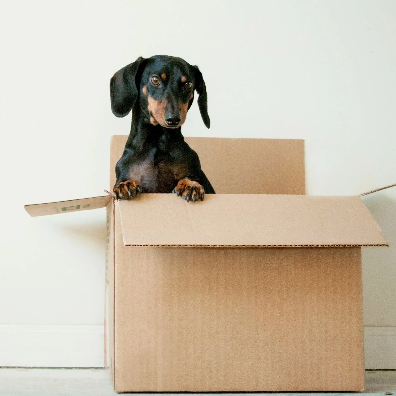 Why Did My Faire Sales Drop Suddenly? The Marketplace Diagnosis Guide