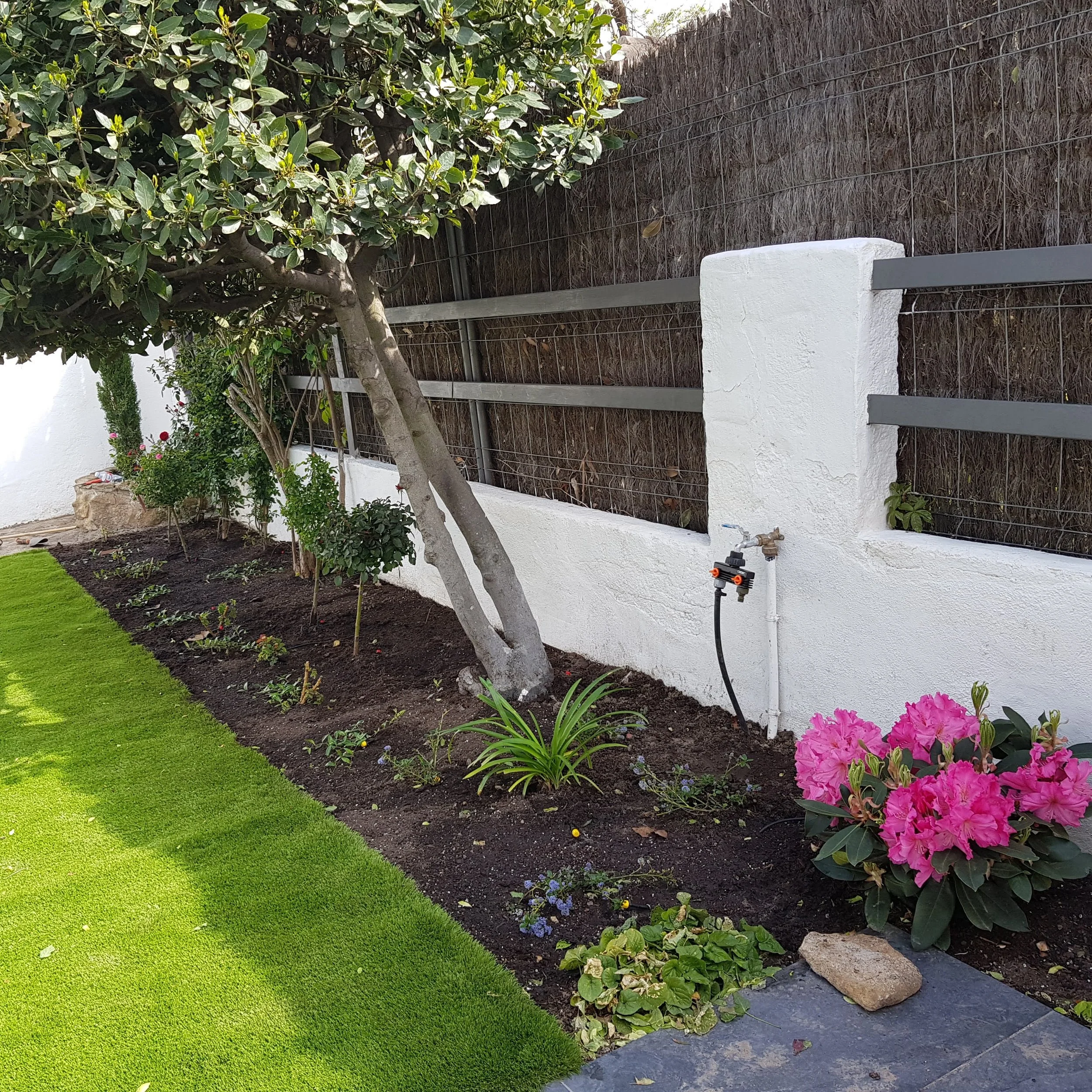 Vallado de Brezo Extra