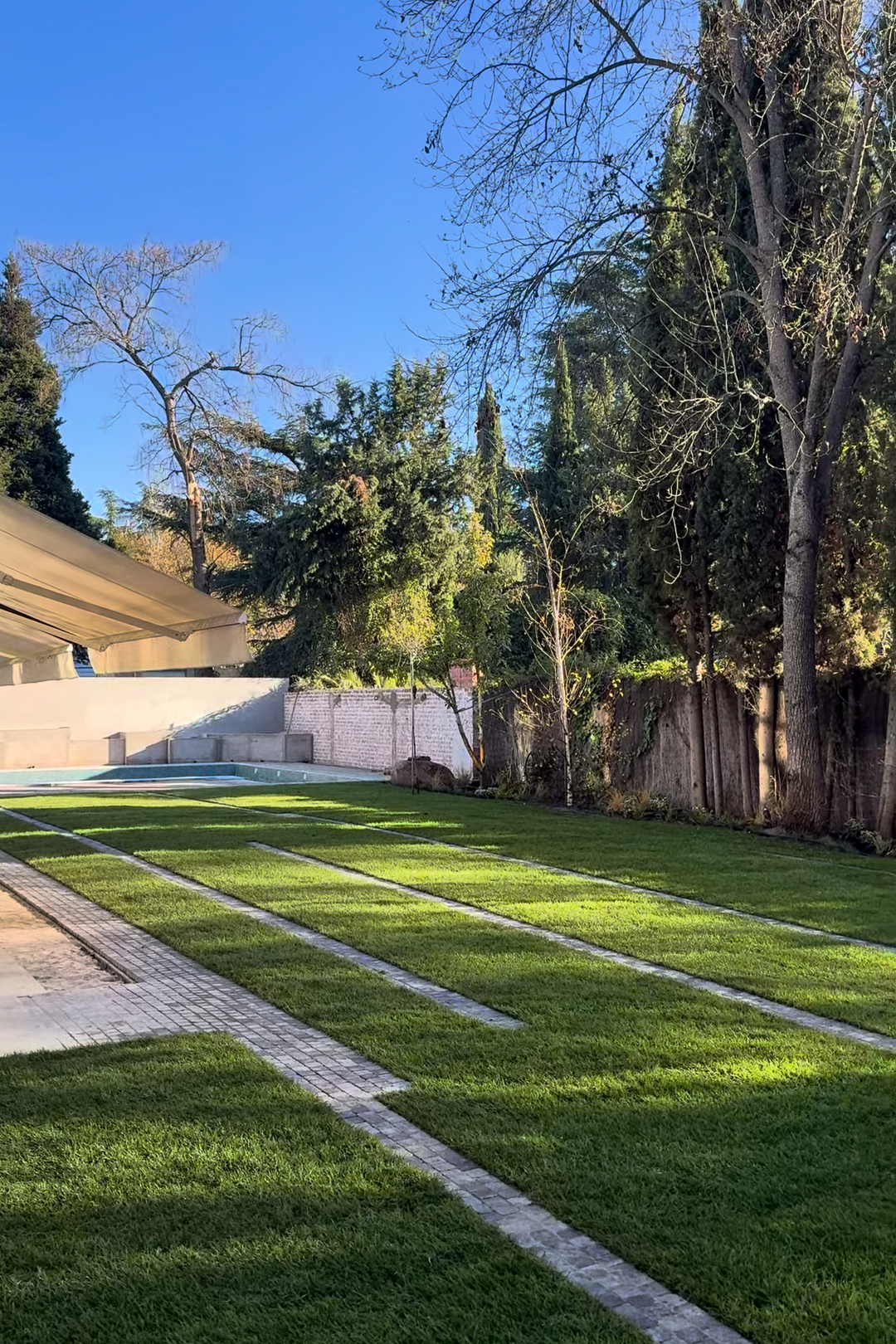 Grava volcánica vs césped: qué elegir en tu jardín