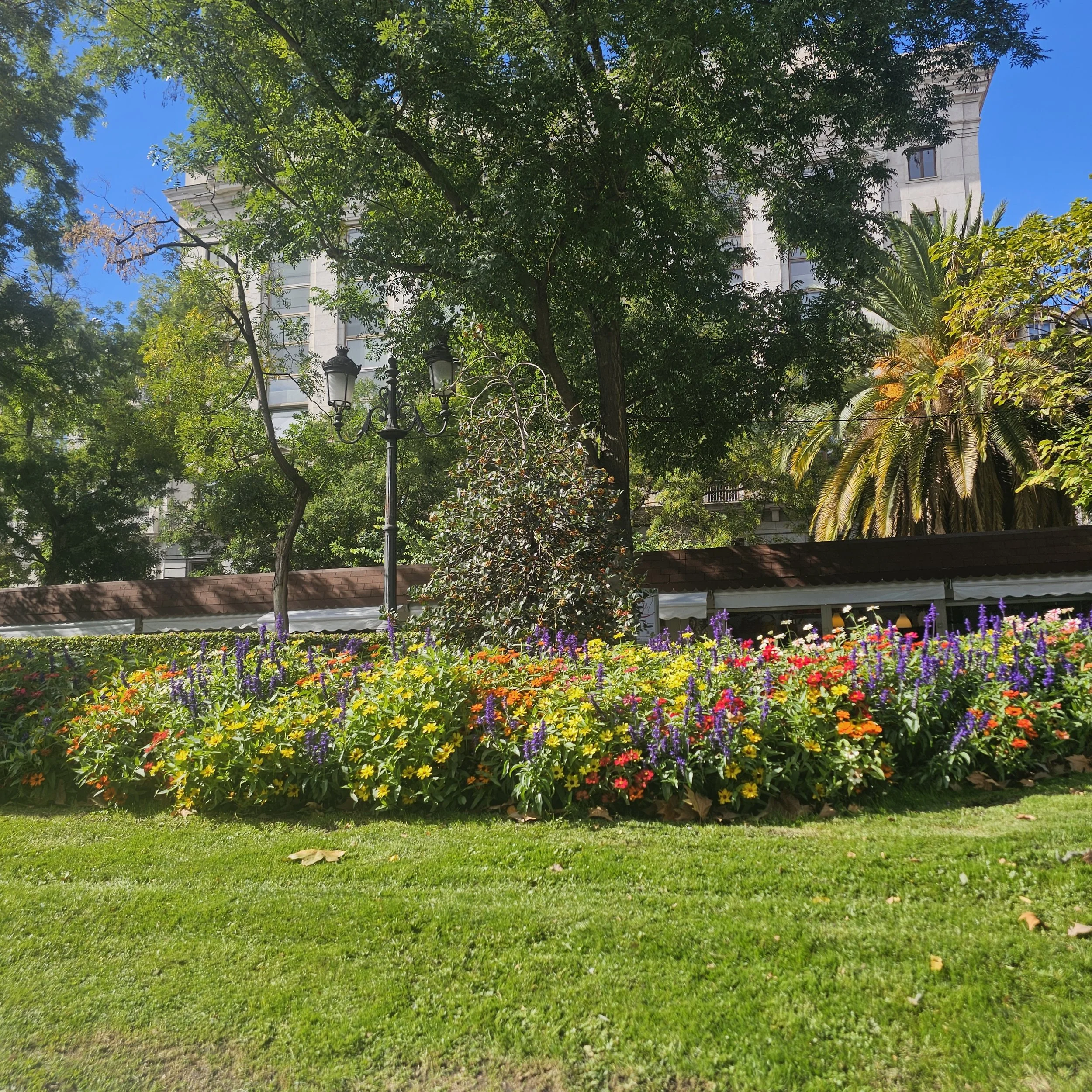 Asesoramiento de especies vegetales