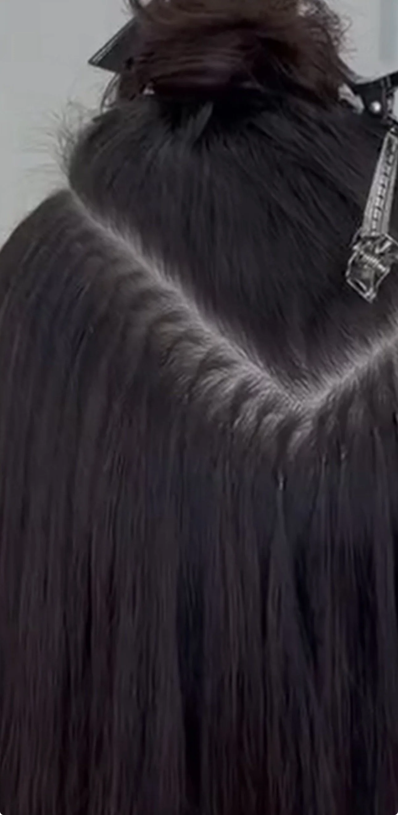 Close-up of a dog's neck and back, showing shiny black and gray fur, with a silver collar.