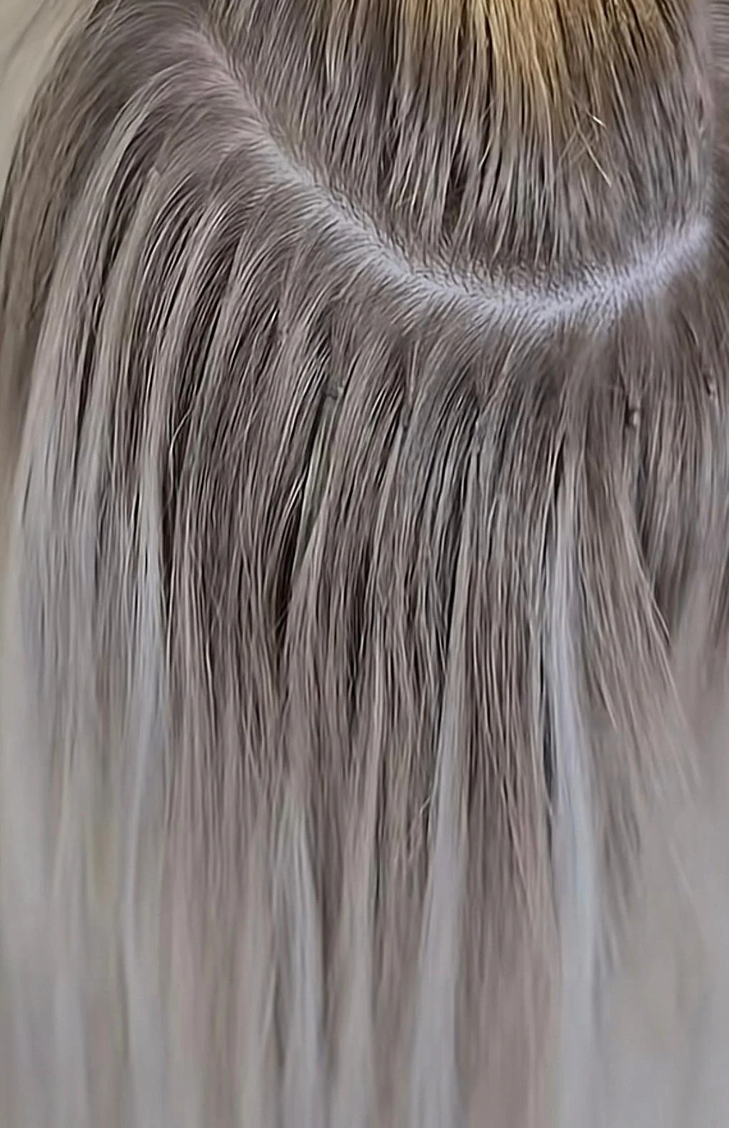 Close-up of silver and white hair with a part line in the middle.