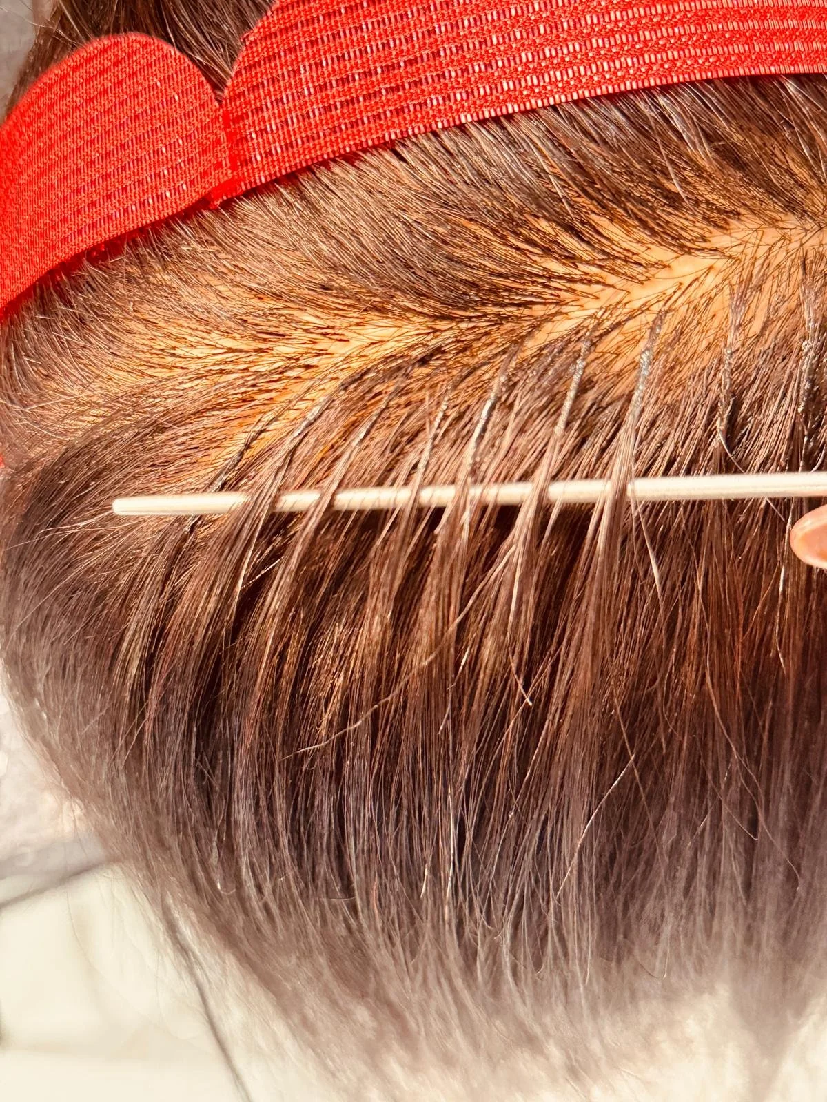 Close-up of a person's scalp with hair parted, showing the hair roots. A stick is used to hold the hair apart, and a red headband is visible at the top of the image.
