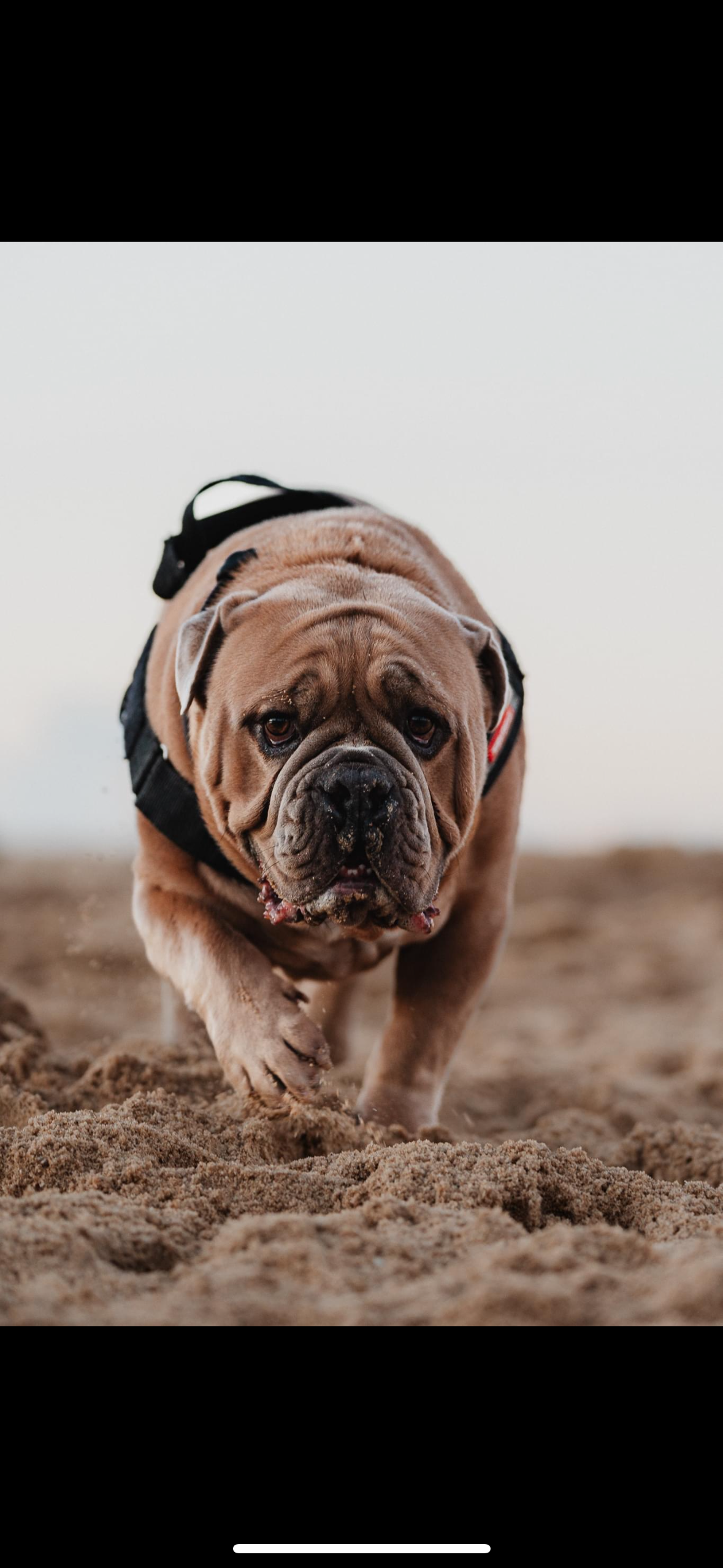 Vinny - CEO of Mates Rates Energy