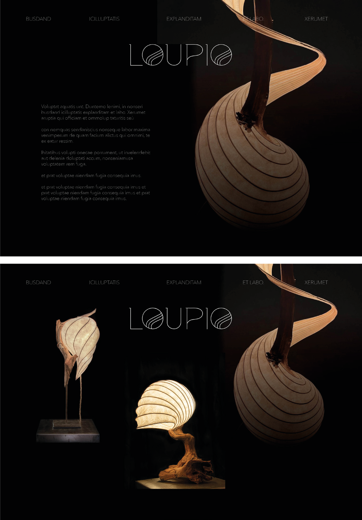 website LOUPIO showing new logo