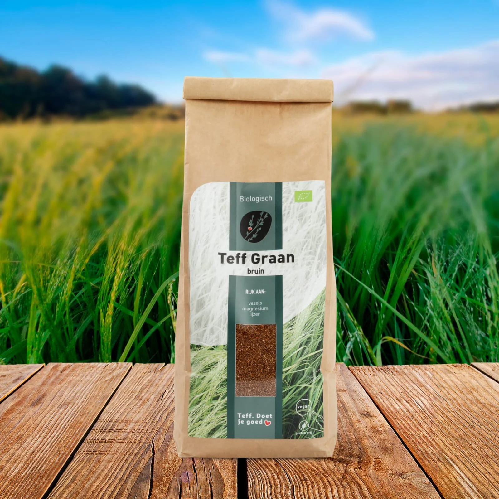 Teff_volkoren_veld_graan_bruin_bio_s-scaled.jpeg