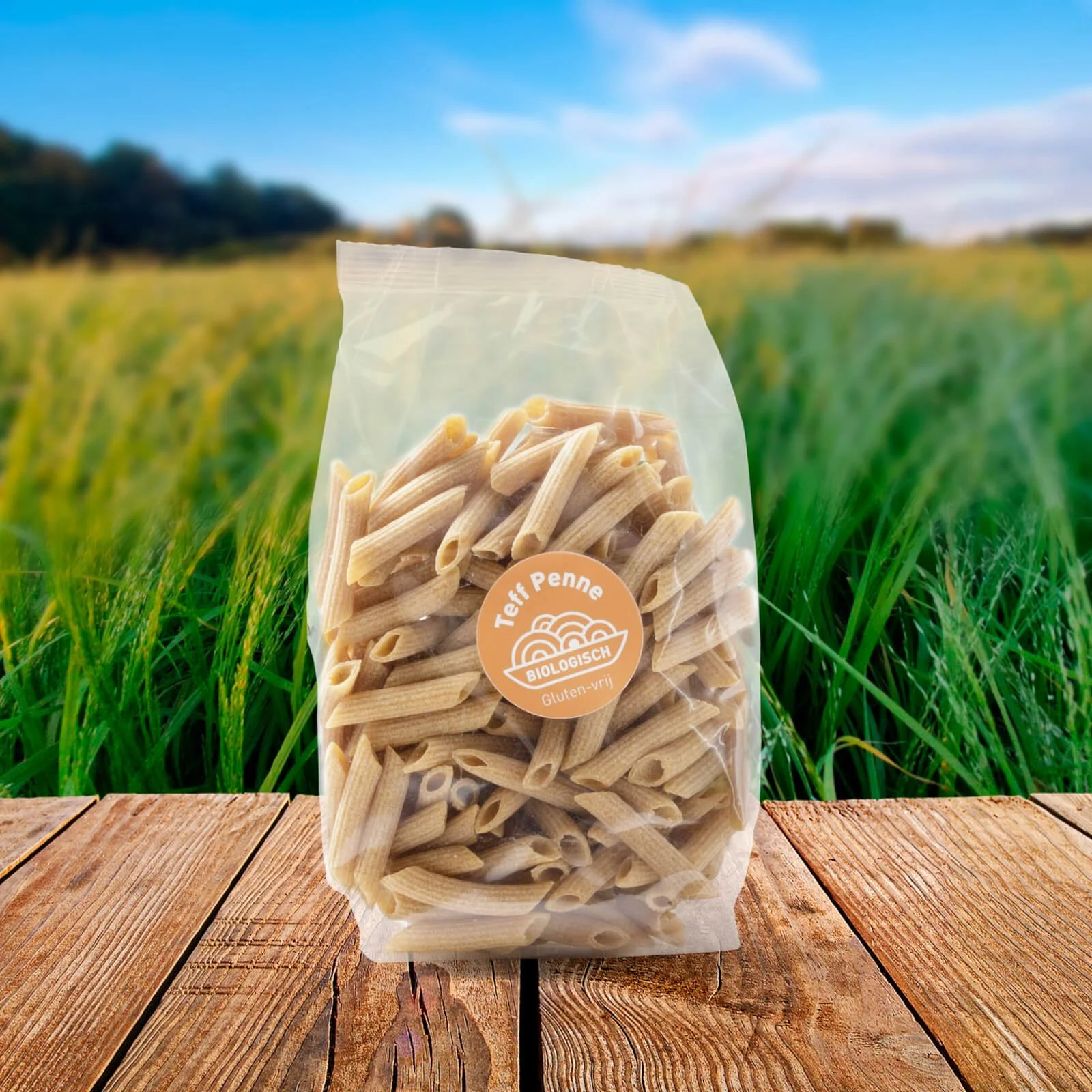Biologische teff penne