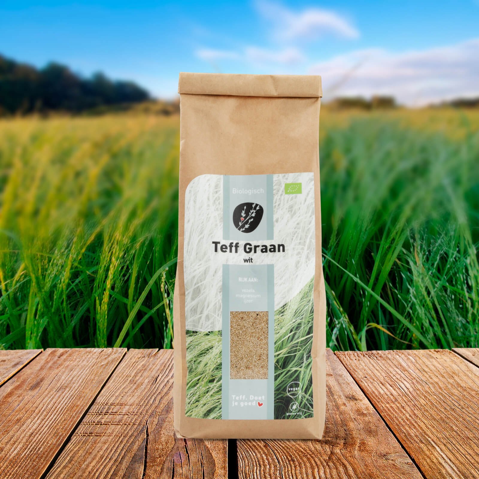Biologische teff graan wit