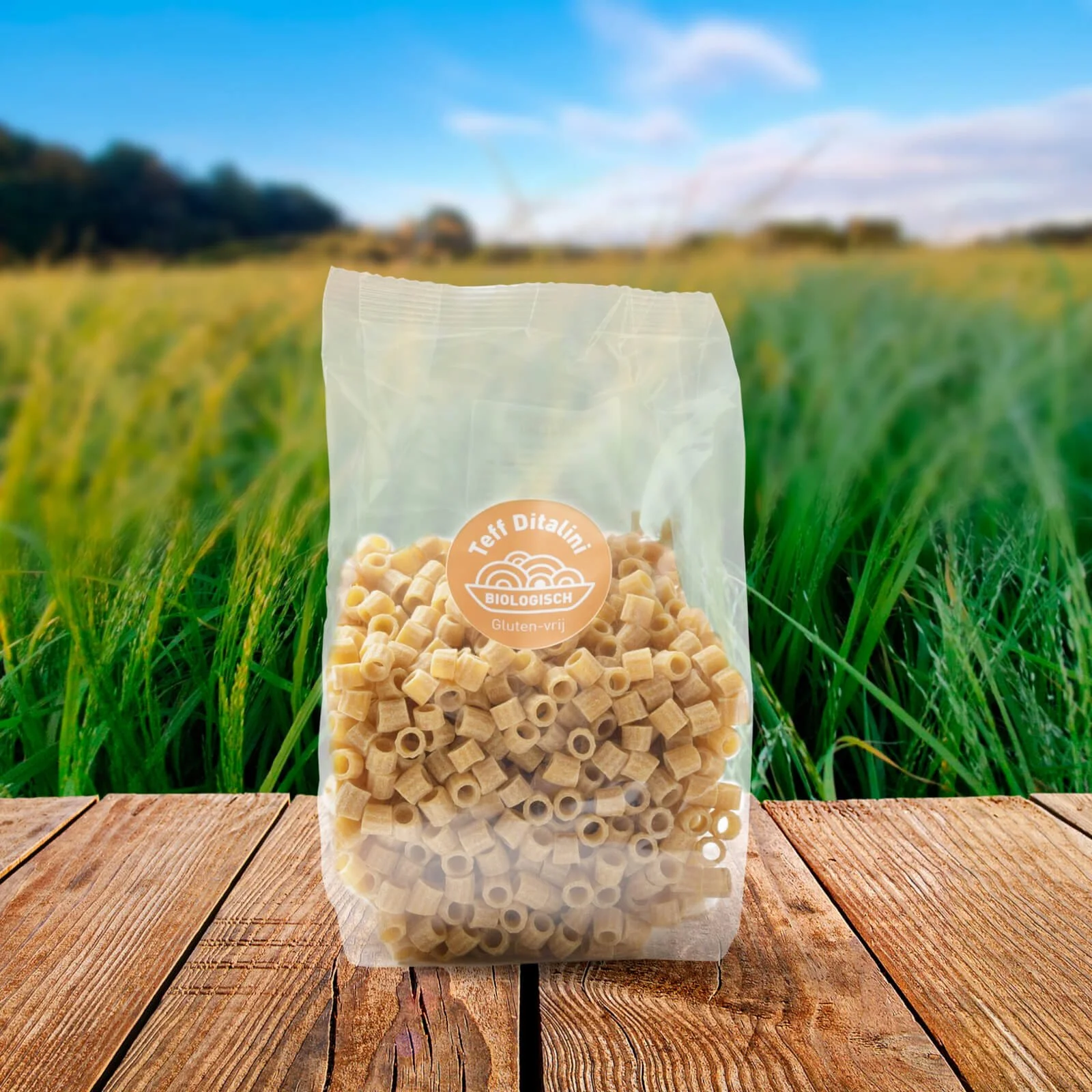 Biologische teff ditalini