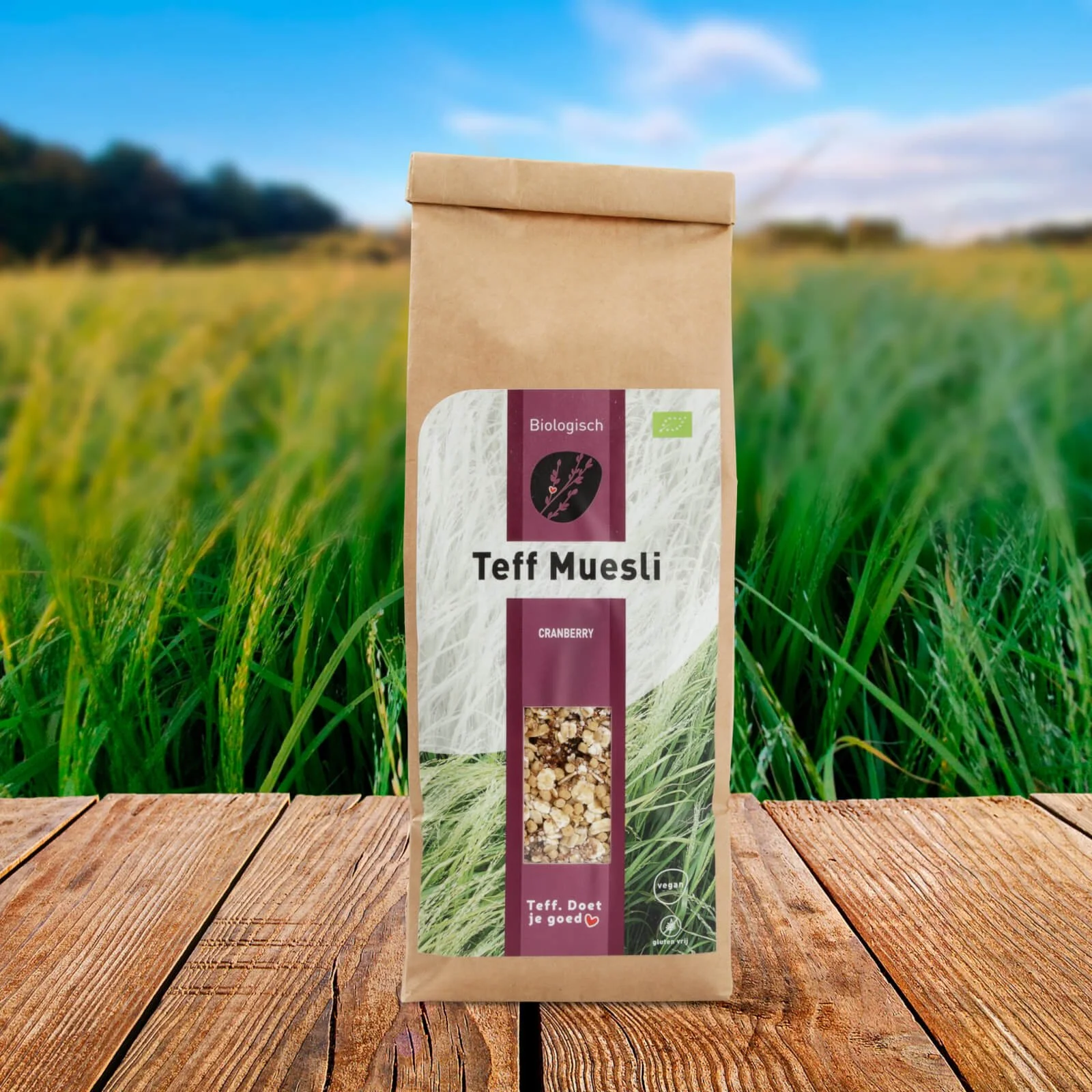 Biologische teff muesli cranberry