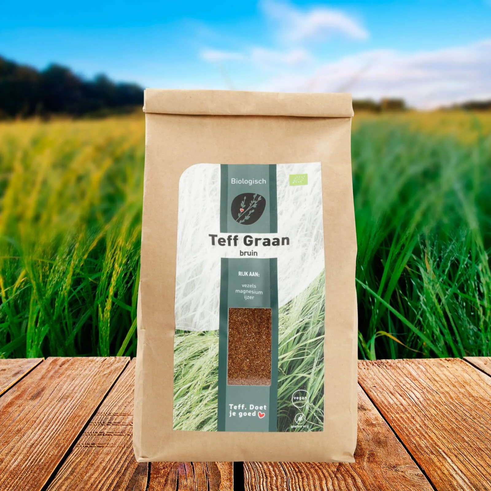 Teff_volkoren_veld_graan_bruin_bio_m-scaled.jpeg