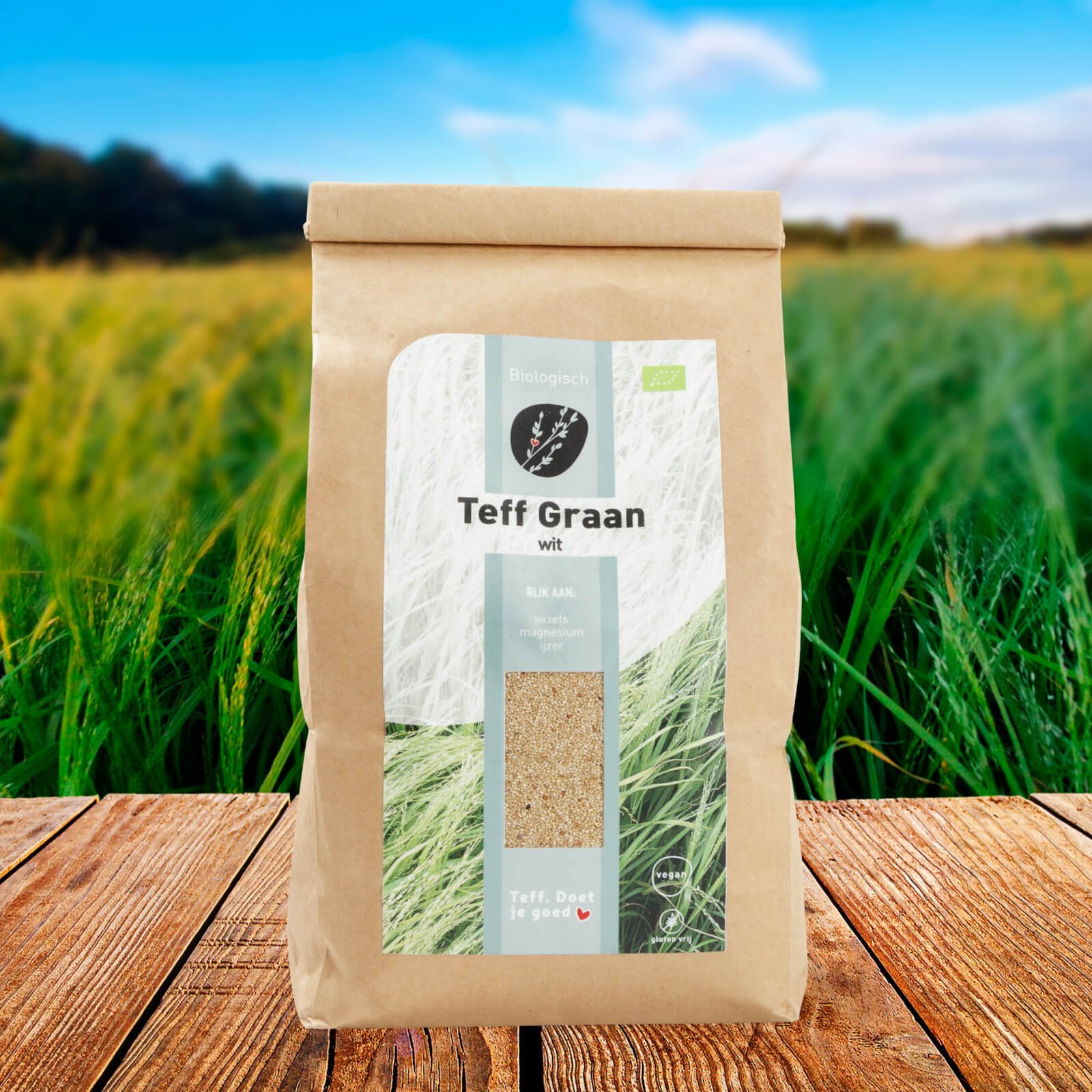 Teff_volkoren_veld_graan_wit_bio_m-scaled.jpeg