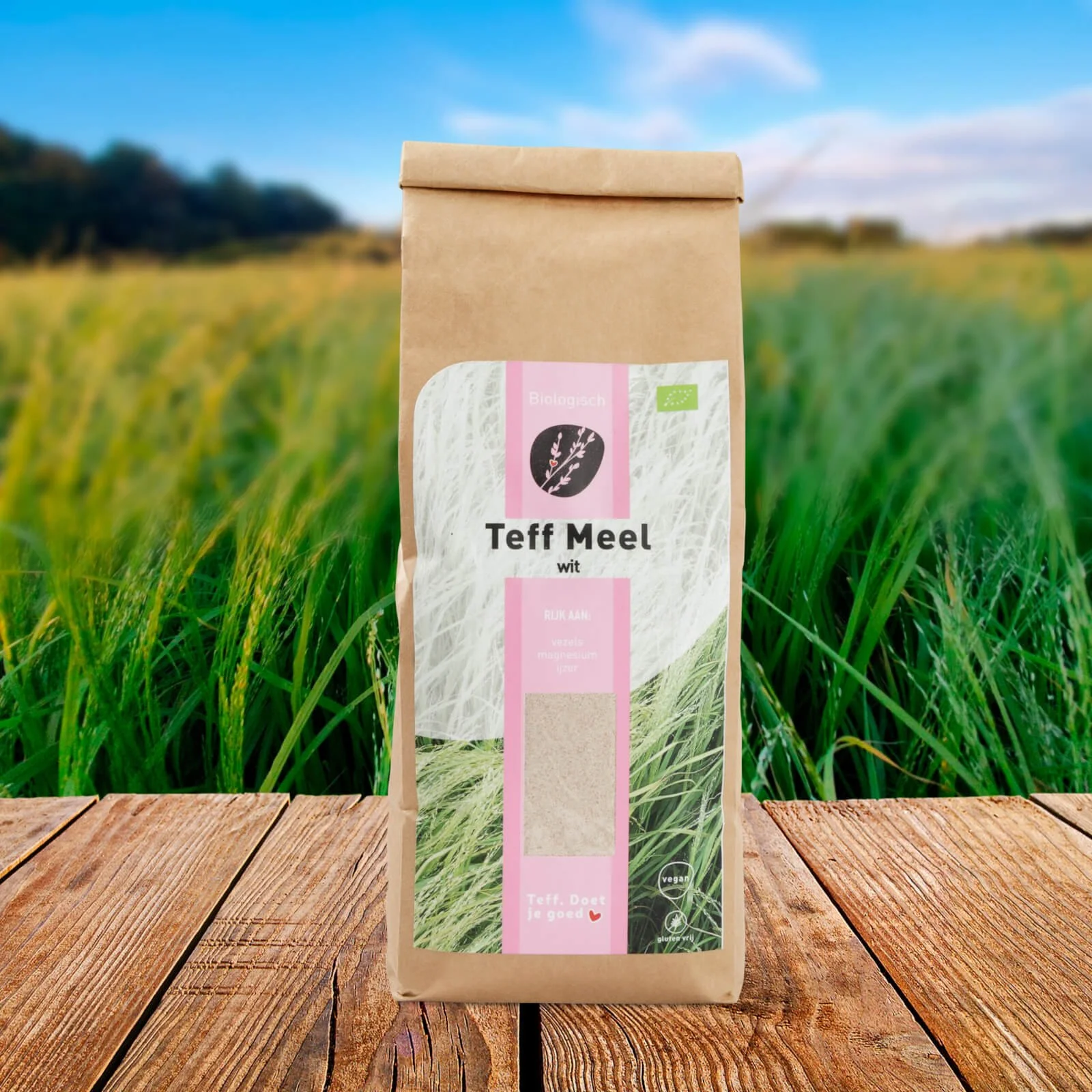 Biologische teff meel wit