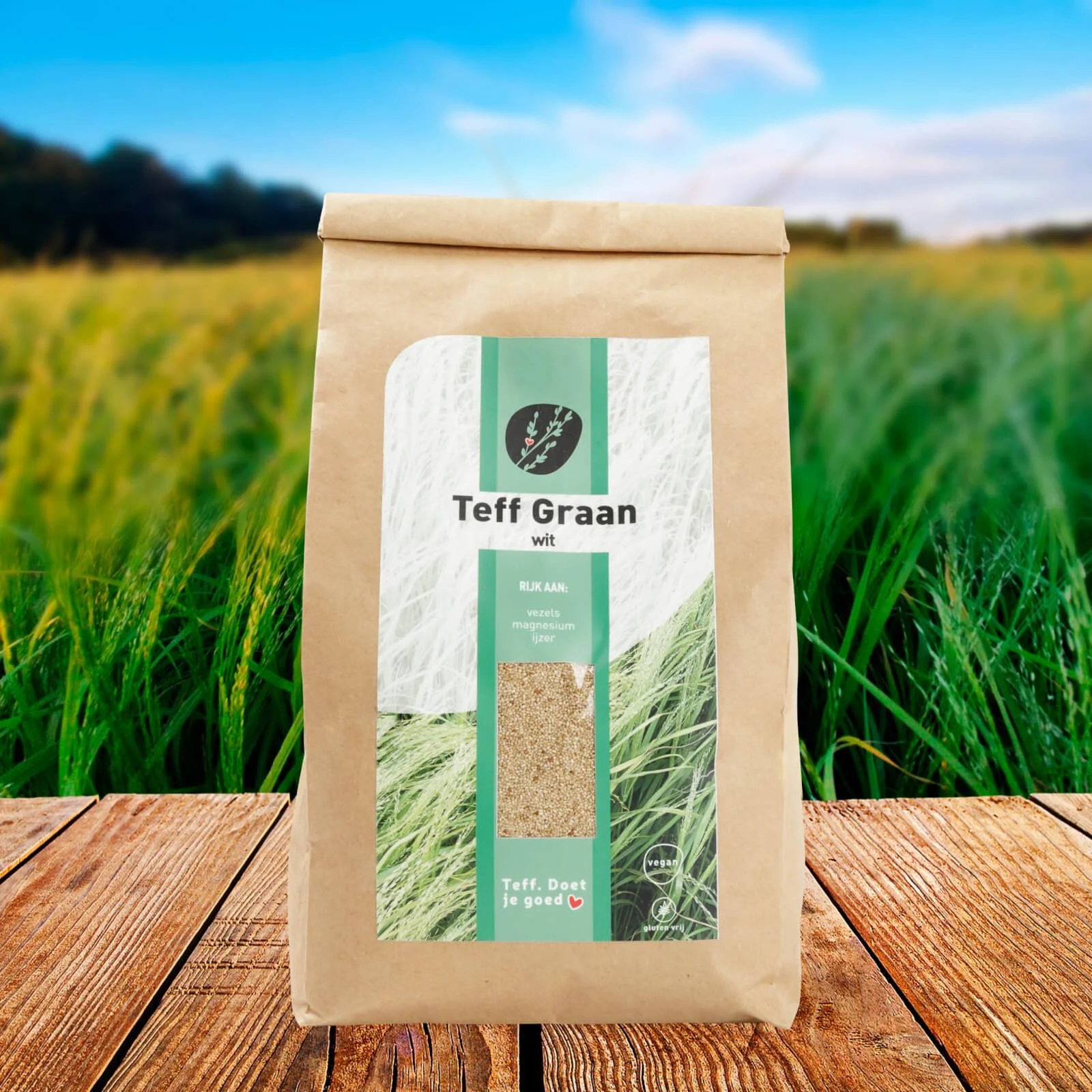 Teff_volkoren_veld_graan_wit_m-scaled.jpeg