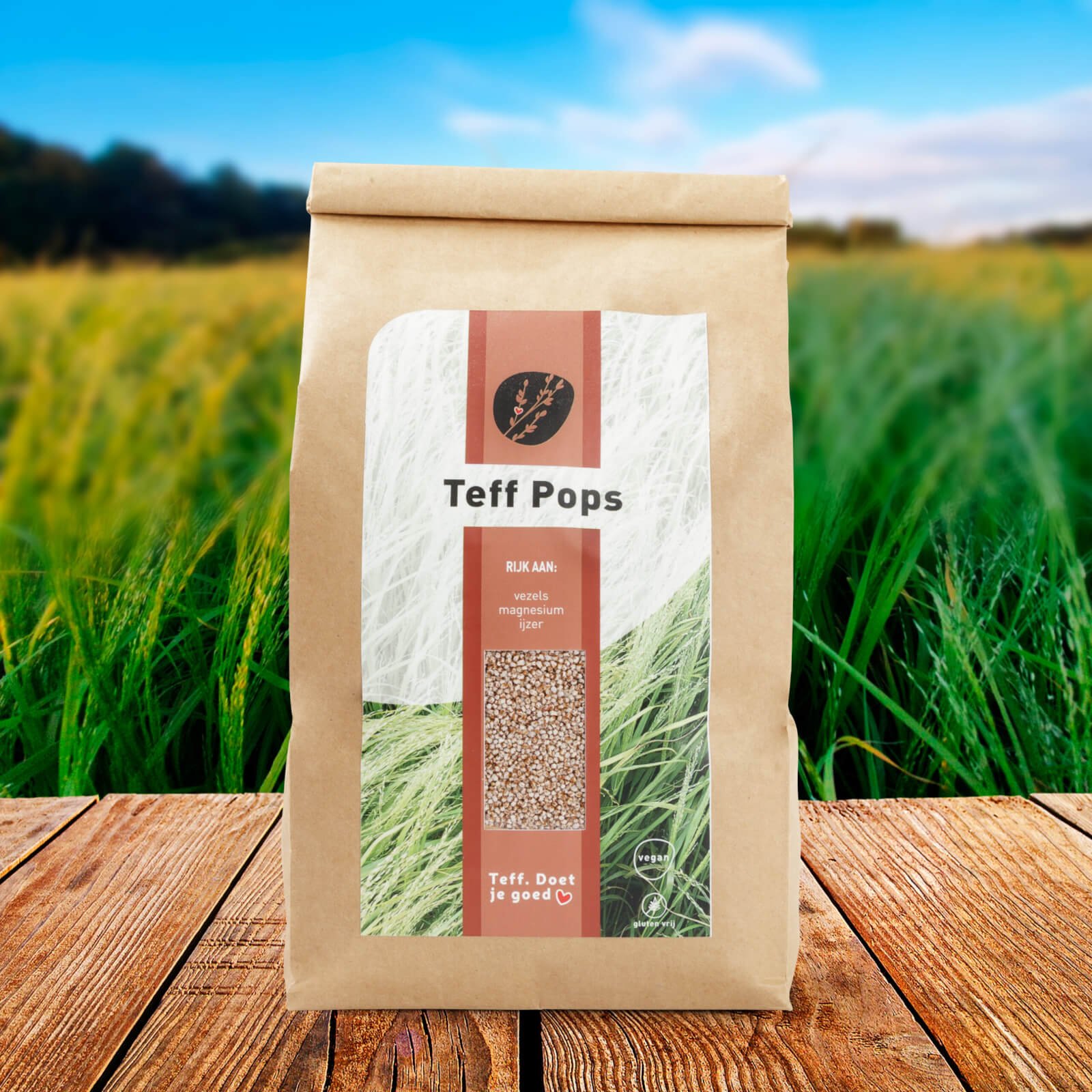 Teff_volkoren_veld_pops_m-scaled.jpeg
