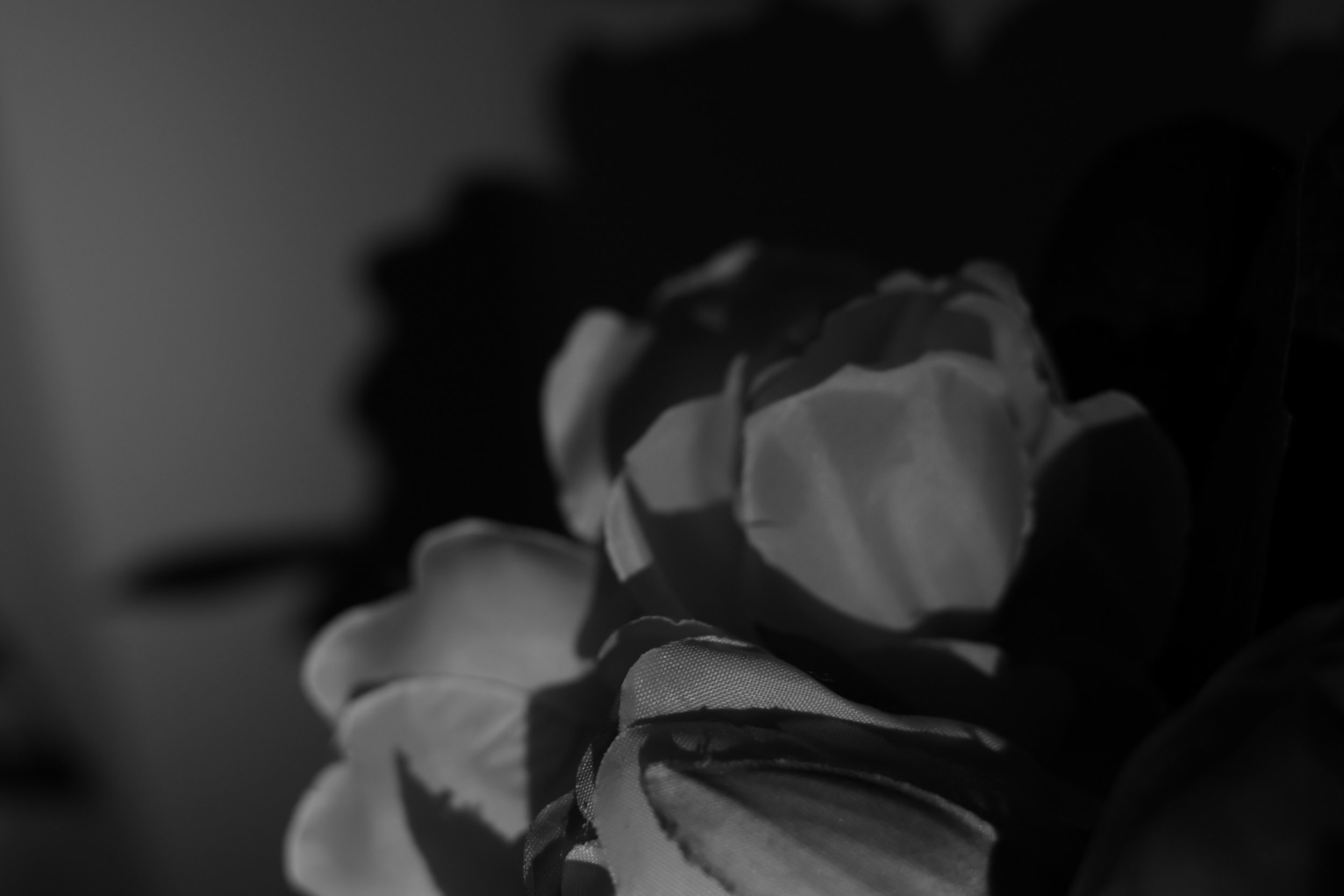 Nei dettagli di casa