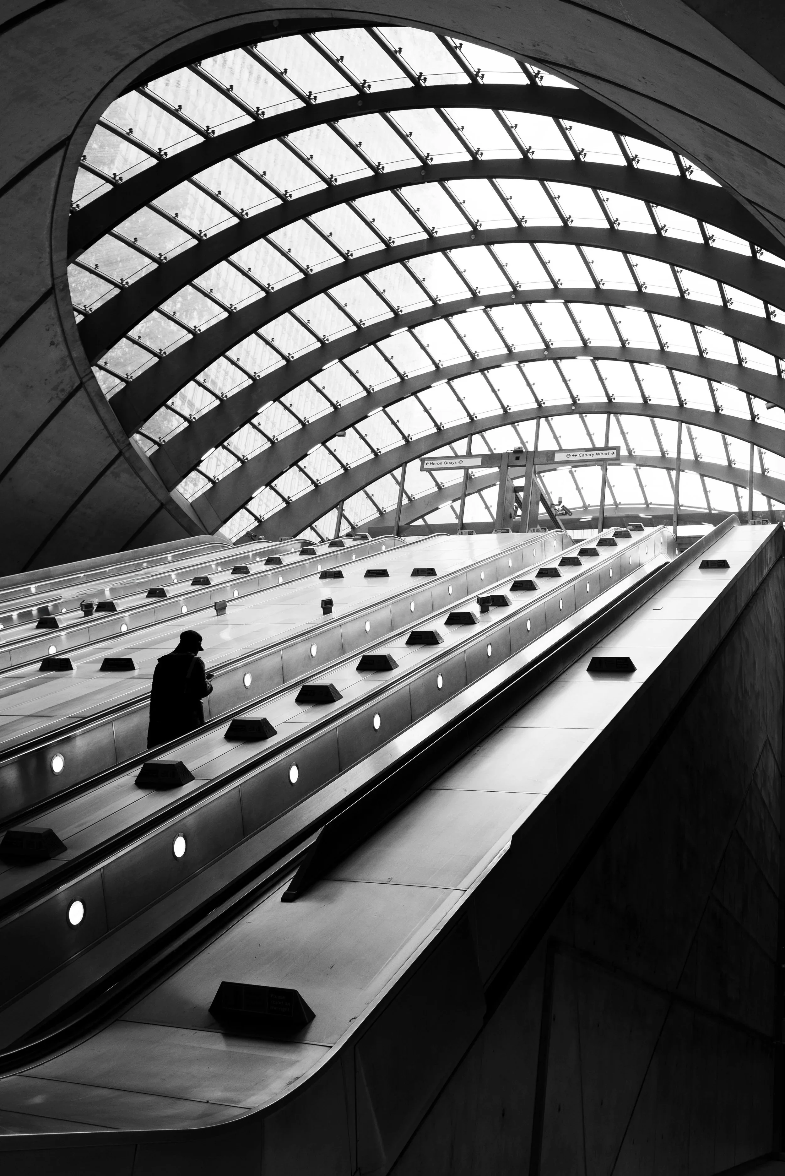 Canary Cage. Black and white photograph of a lone figure rising on an escalator beneath the curved glass of Canary Wharf station.