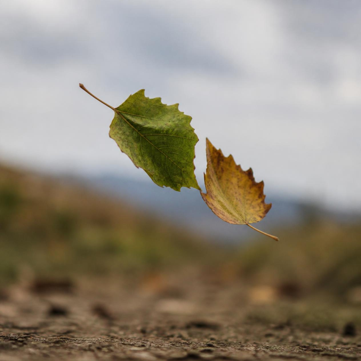 September is Coming: What I'm Trying Not to Lose