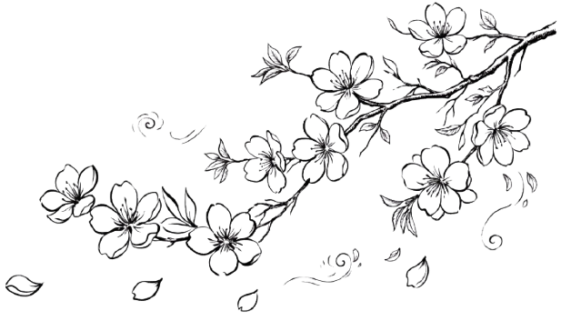 Dr Risako Sakurai Obstetrician & Gynaecologist