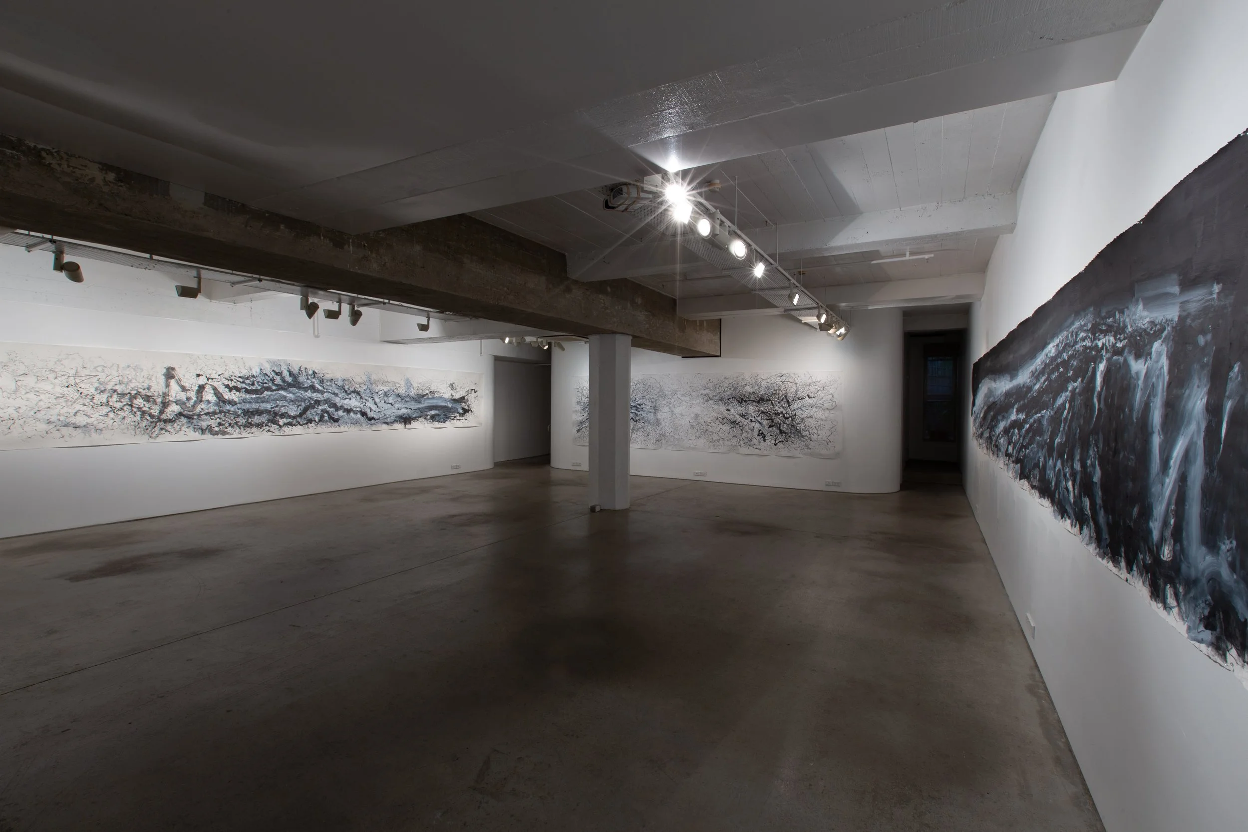 Brougham St Gallery Commercial