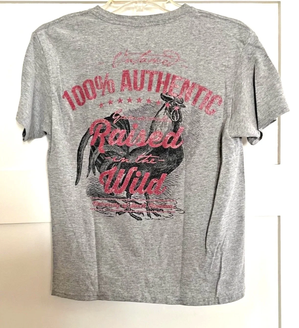 University of South Carolina youth small short sleeved logo t shirt in heather grey