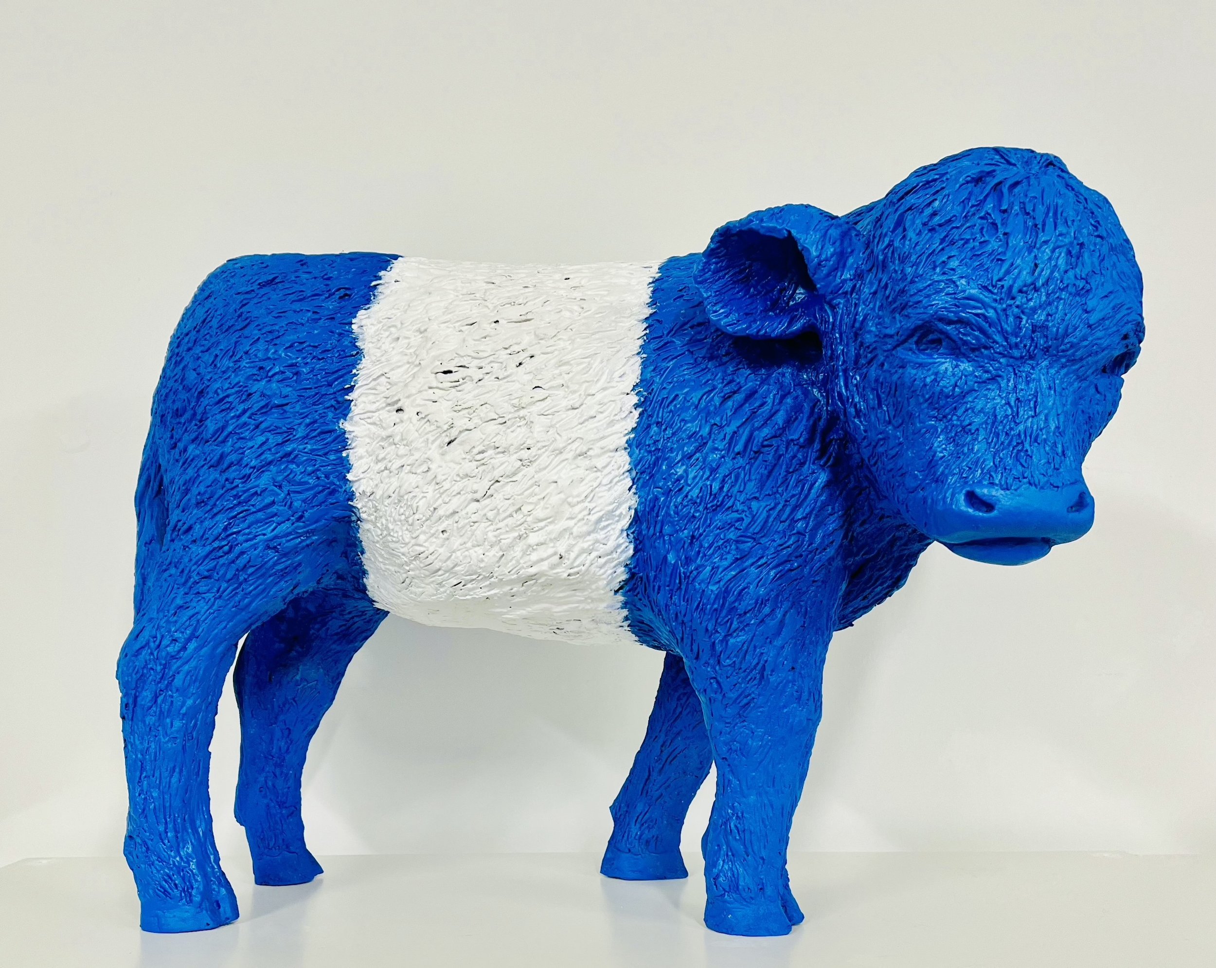 DEIRDRE NICHOLLS, BELTIE 2026.jpeg