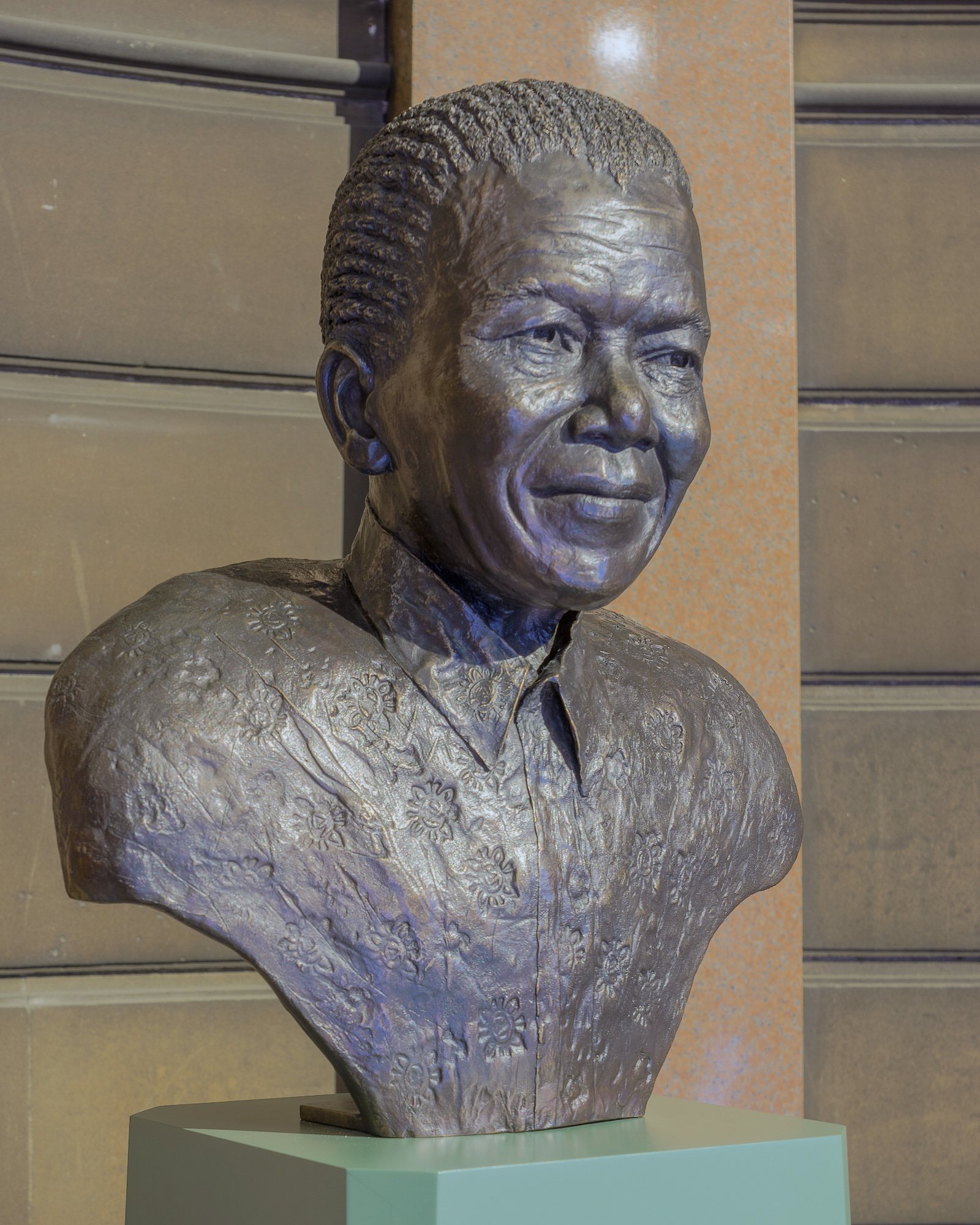 Nicholls, Deirdre, Madiba 2014.jpg