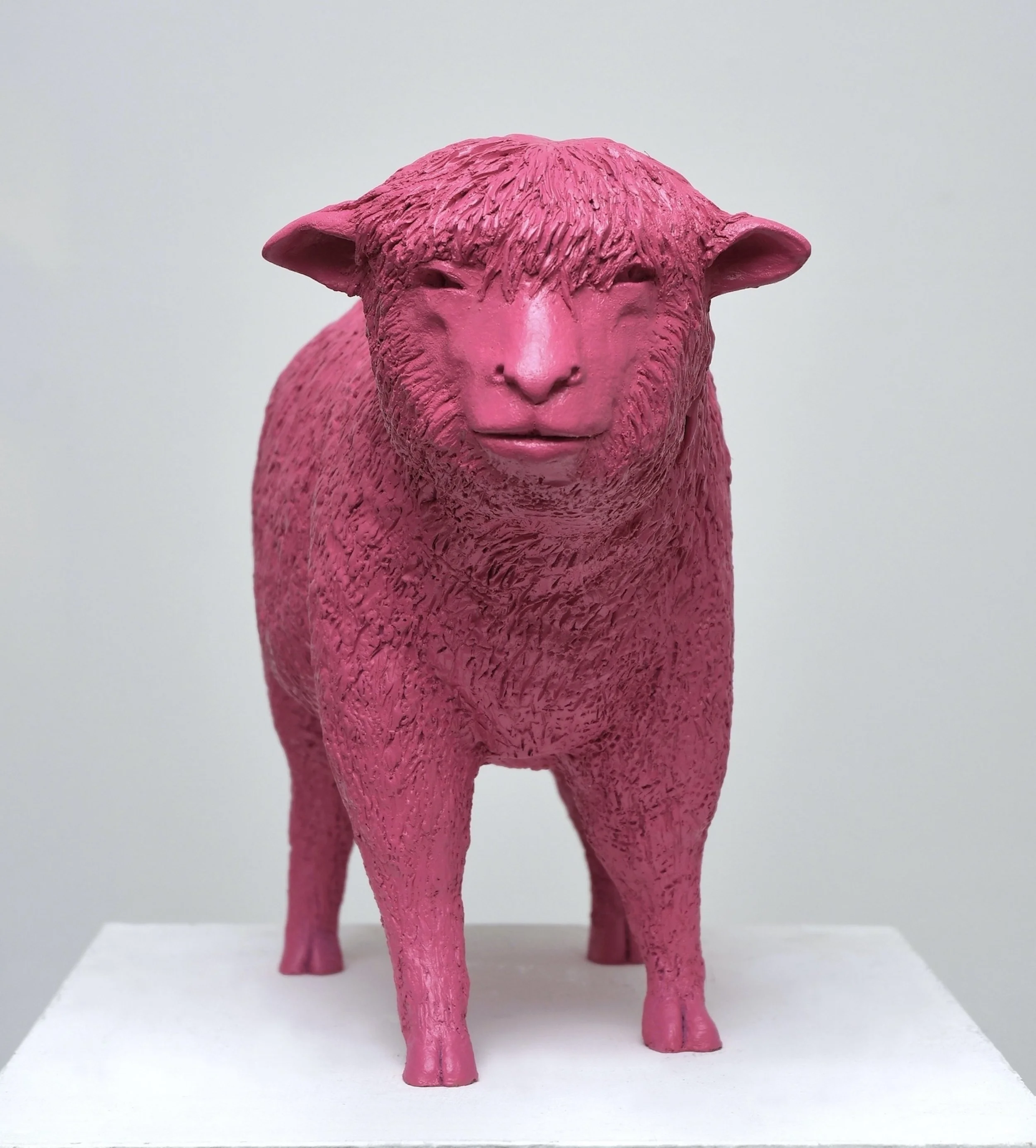 'Hello Dolly', Poll Dorset sheep at 1/3 life size, pink
