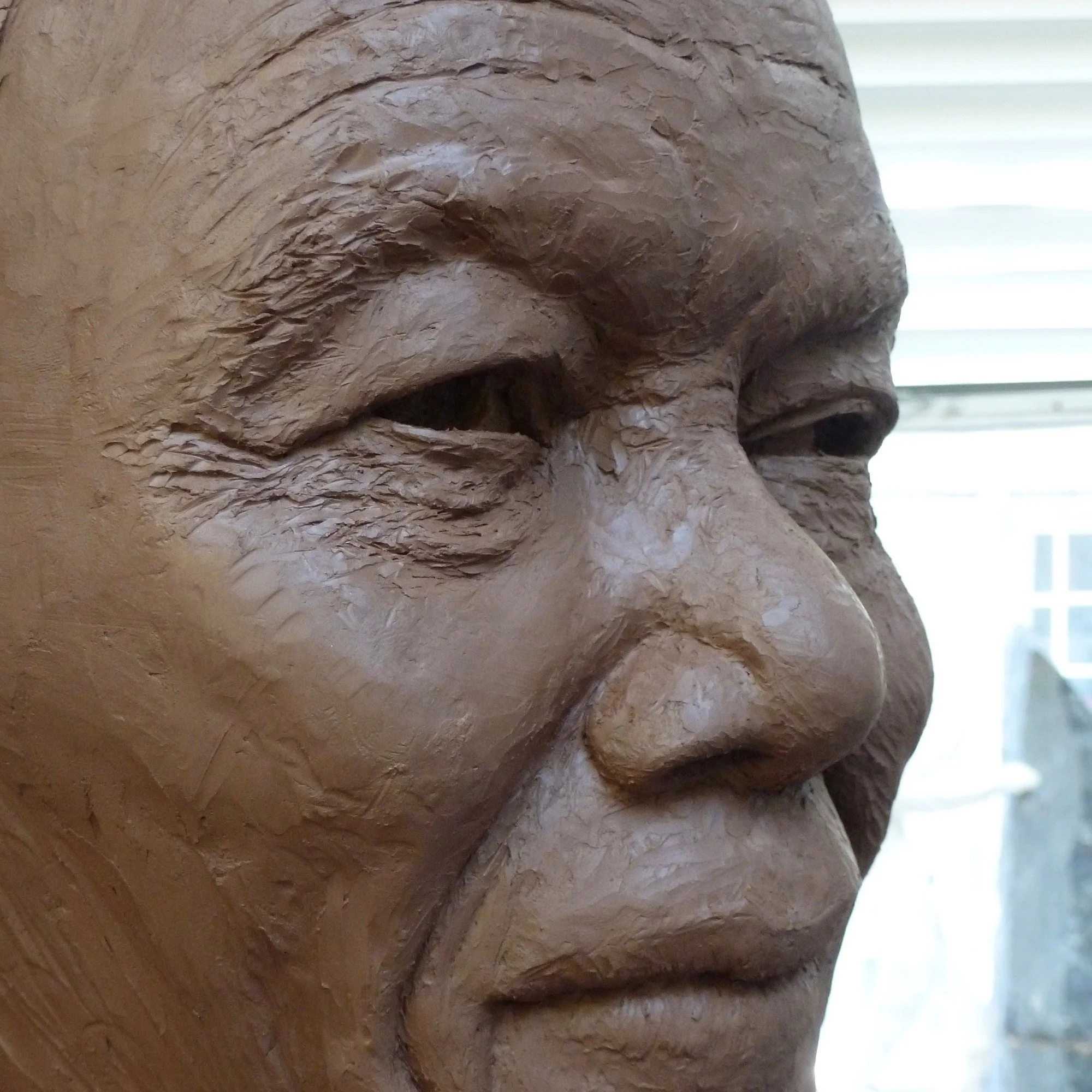 Deirdre Nicholls, Madiba, detail of clay modelling.jpg