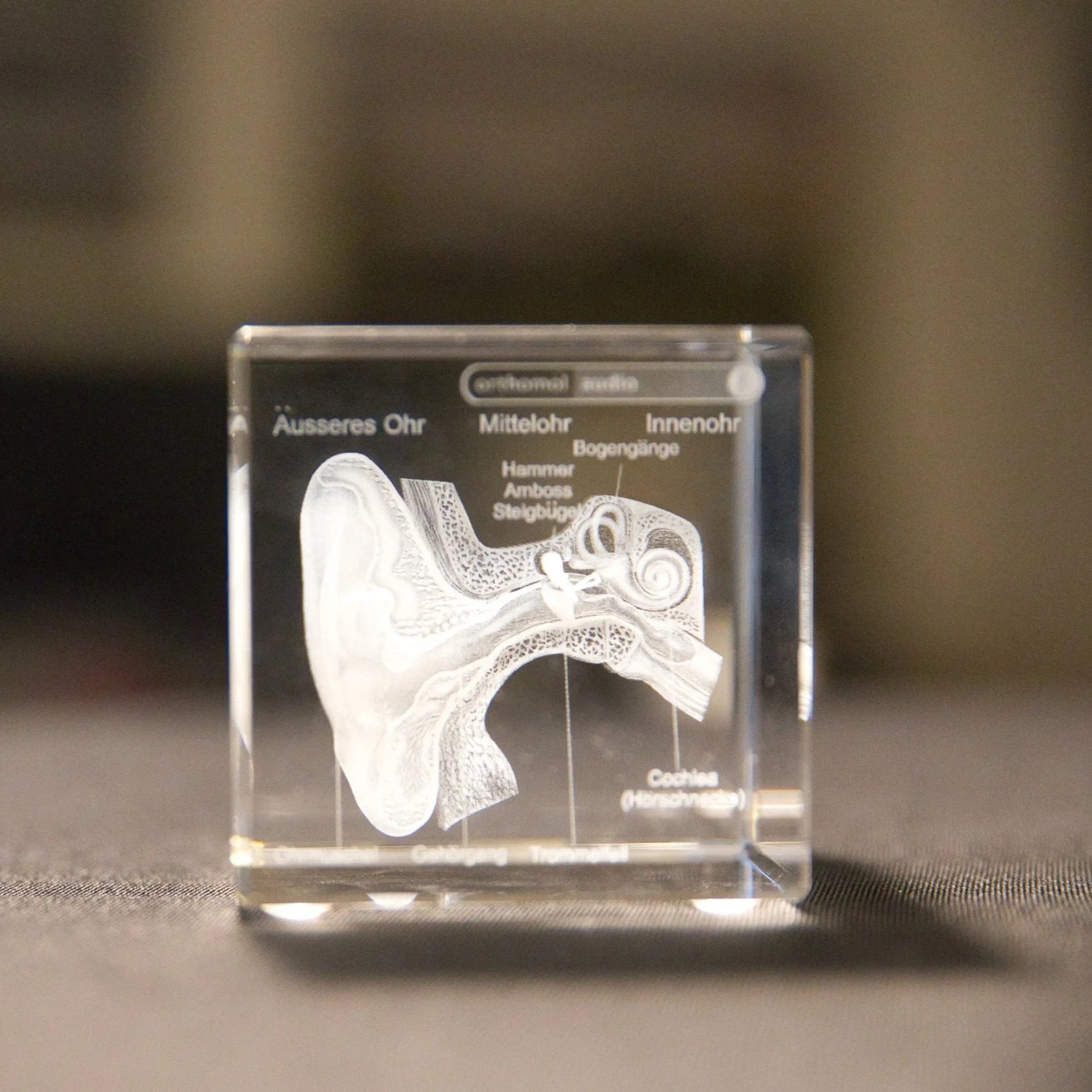 Ulf Burmeister HNO Innenohr