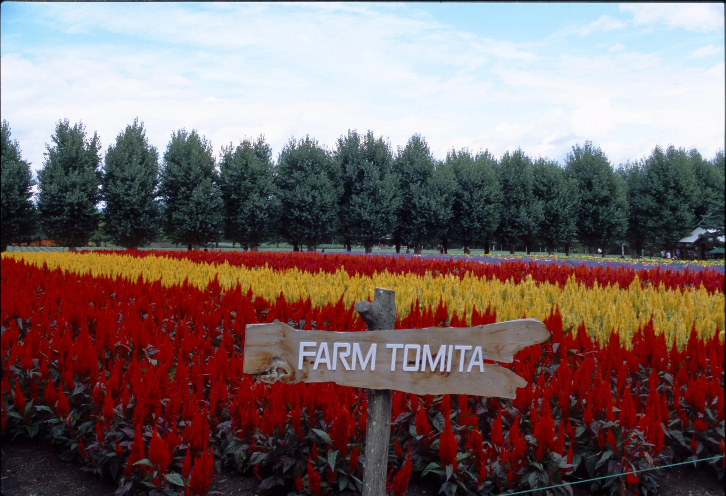 August 2025
Fujifilm Provia 100
Nikon F2