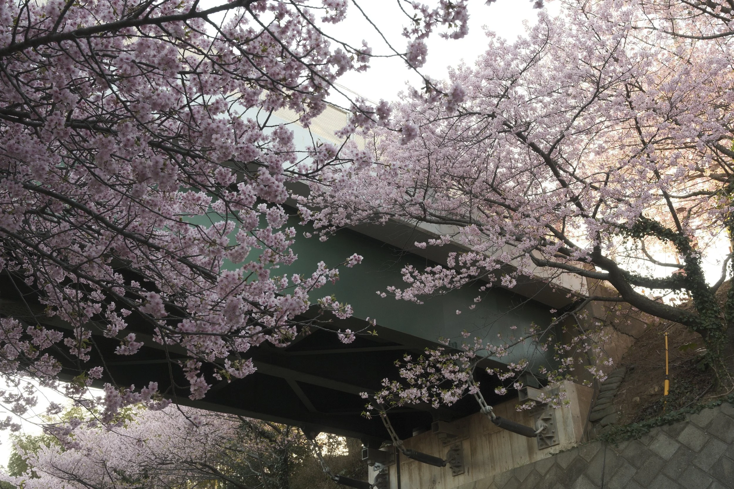 February 2026

Fujifilm X-T5

XF 16-50mm F2.8-4.8 R LM WR