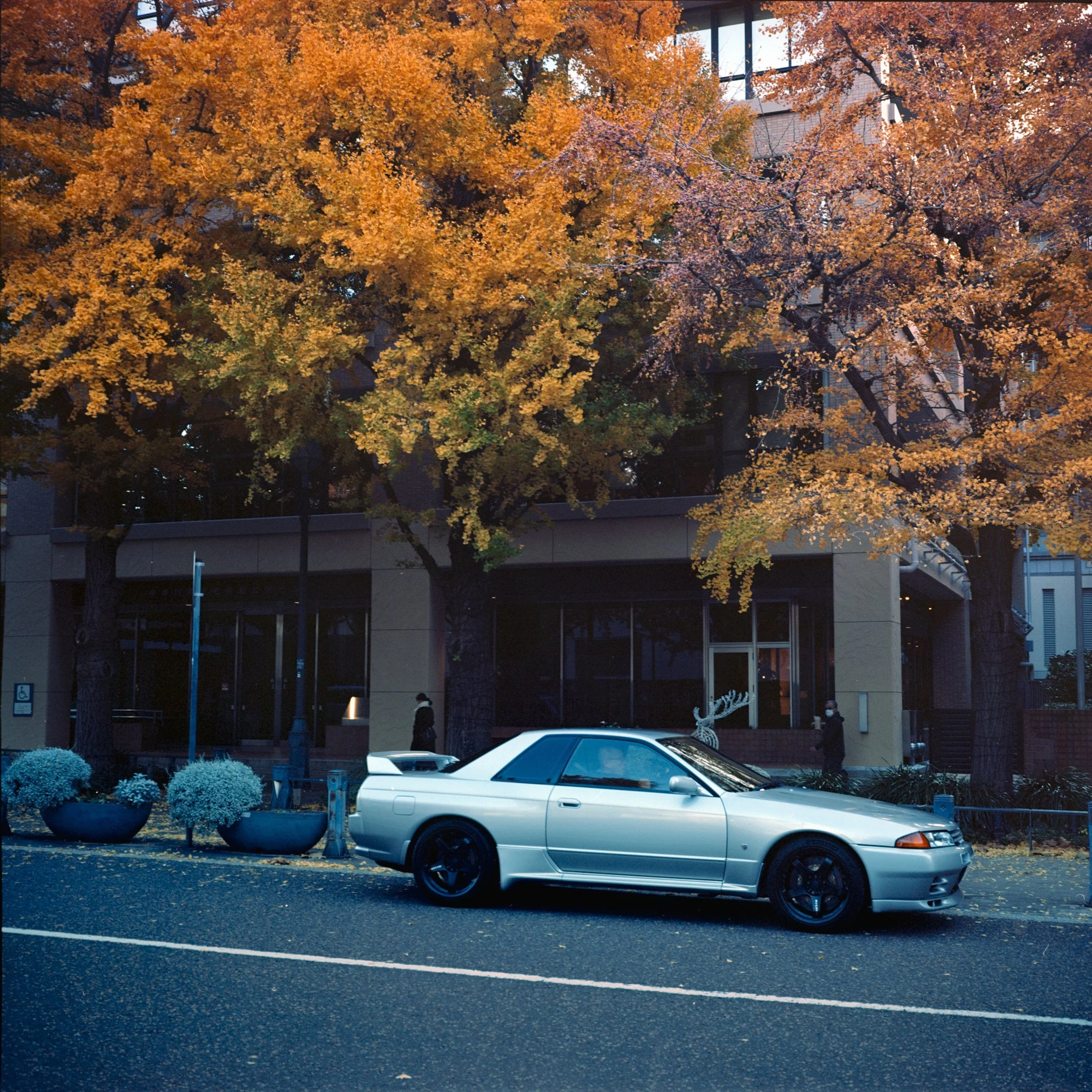 November 2025
Kodak Ektar 100
Mamiya 6