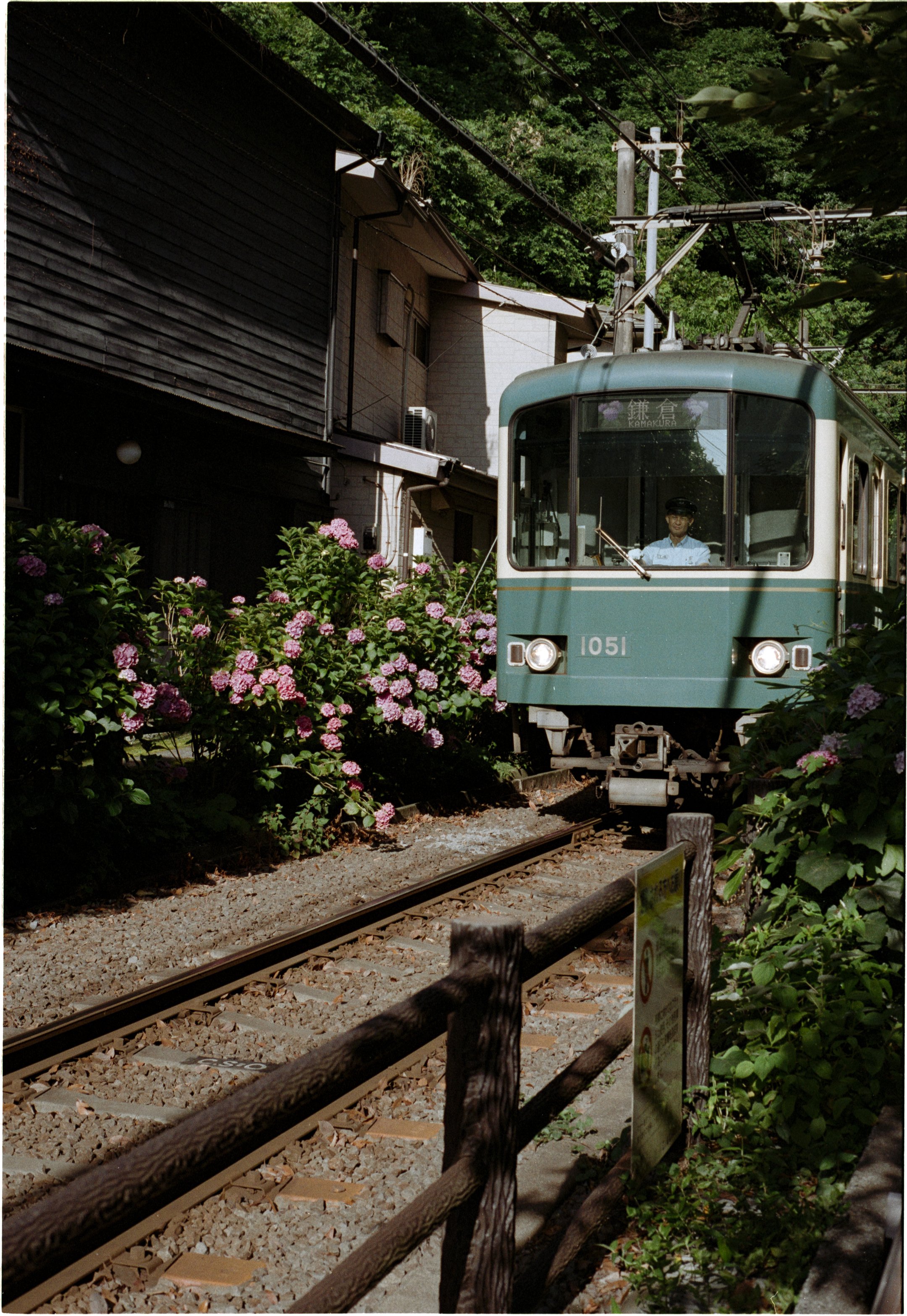 June 2025
Kodak Gold 200
Nikon F3