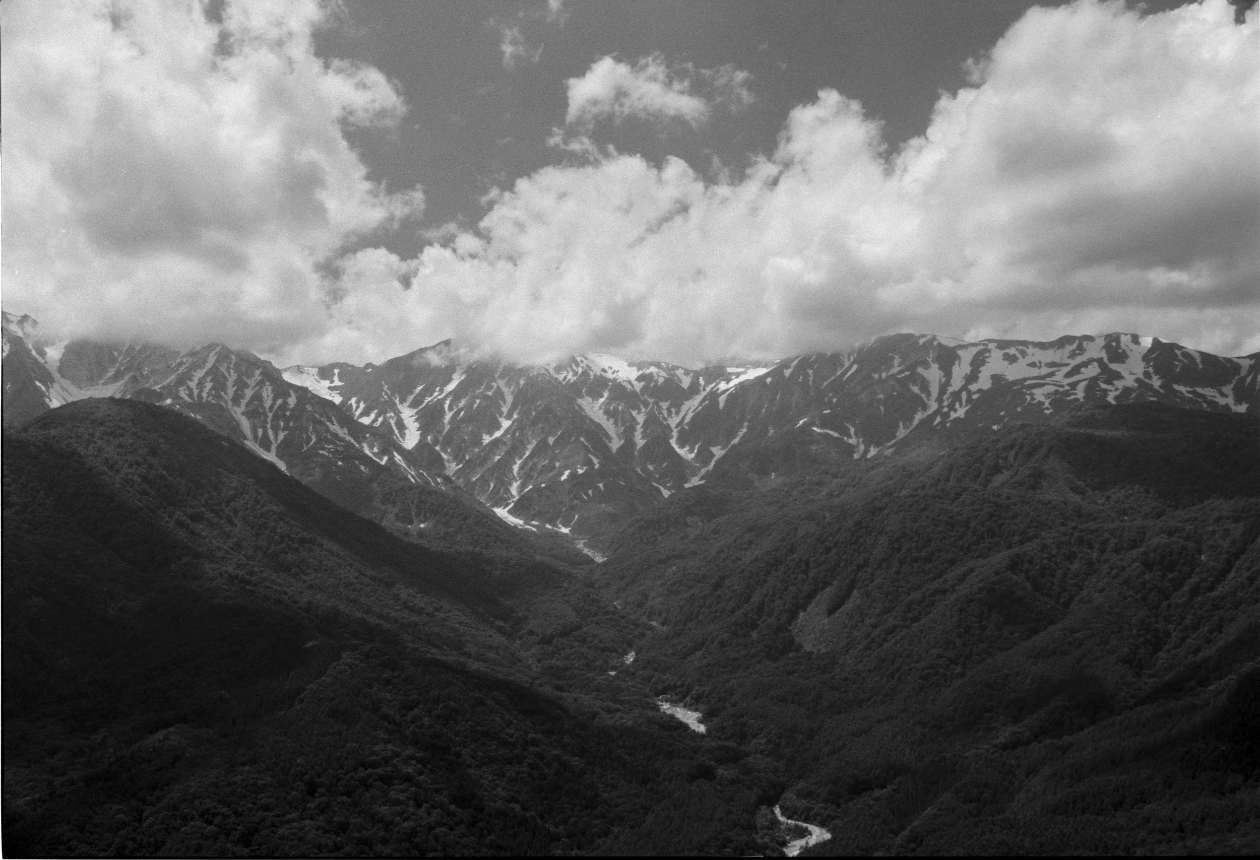 June 2025,
Kentmere 400, 
Nikon F2