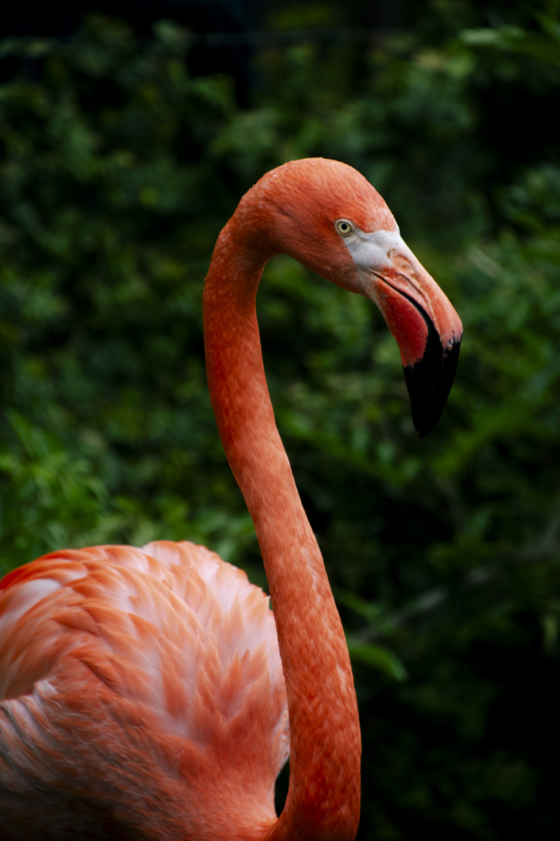 Yokohama Hakkeijima Sea Paradise
