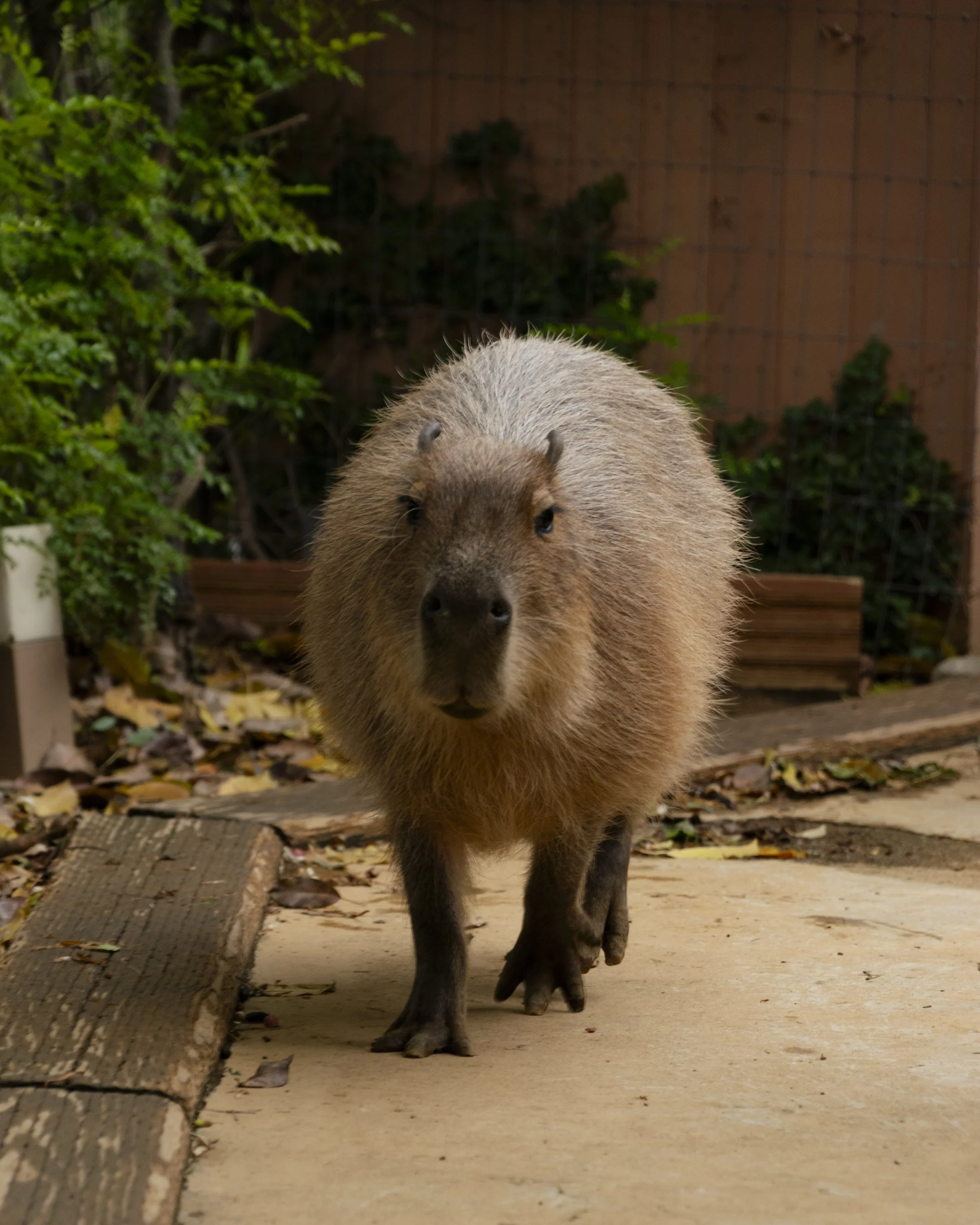Yokohama Hakkeijima Sea Paradise