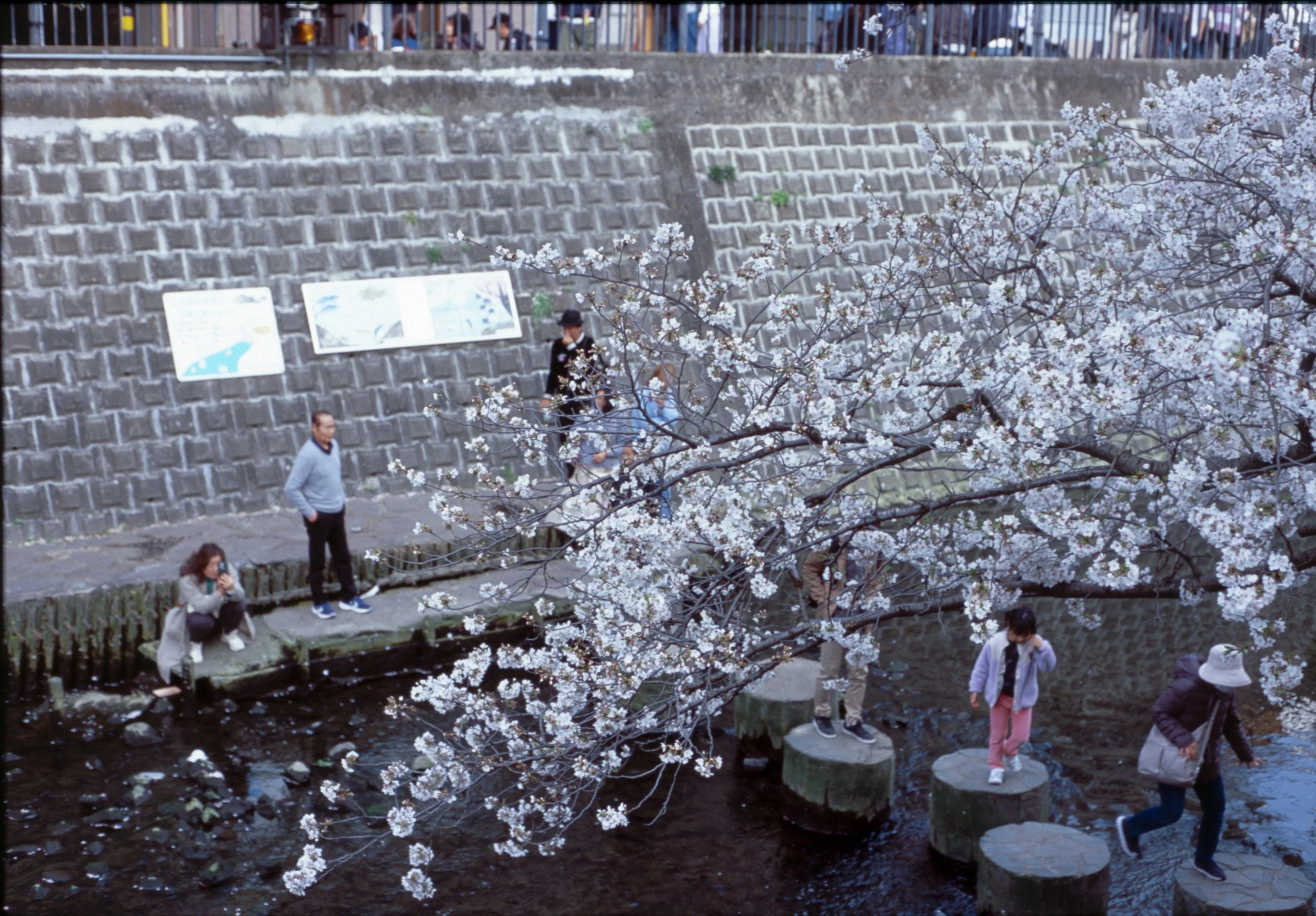 April 2025
Velvia 100
Nikon F2