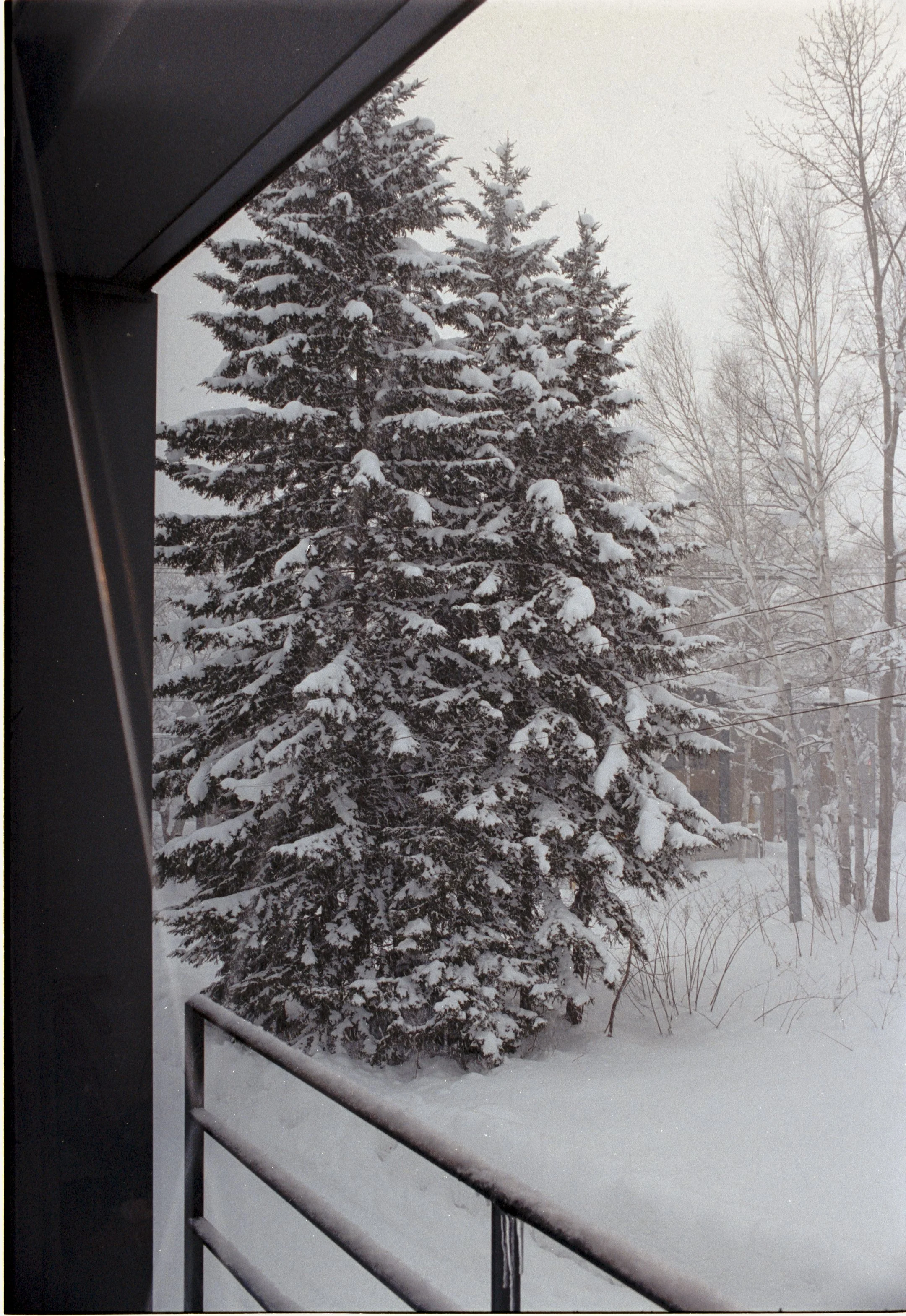 January 2026
Kodak Portra 400
Nikon FM3A