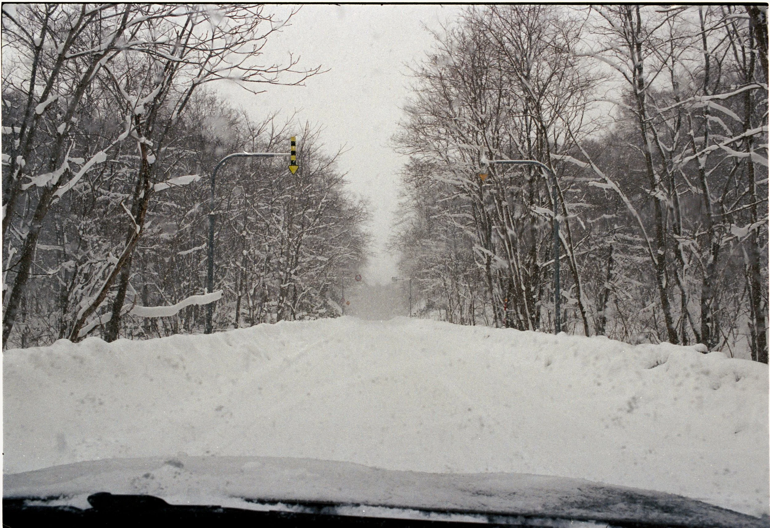 January 2026
Kodak Portra 400
Nikon FM3A