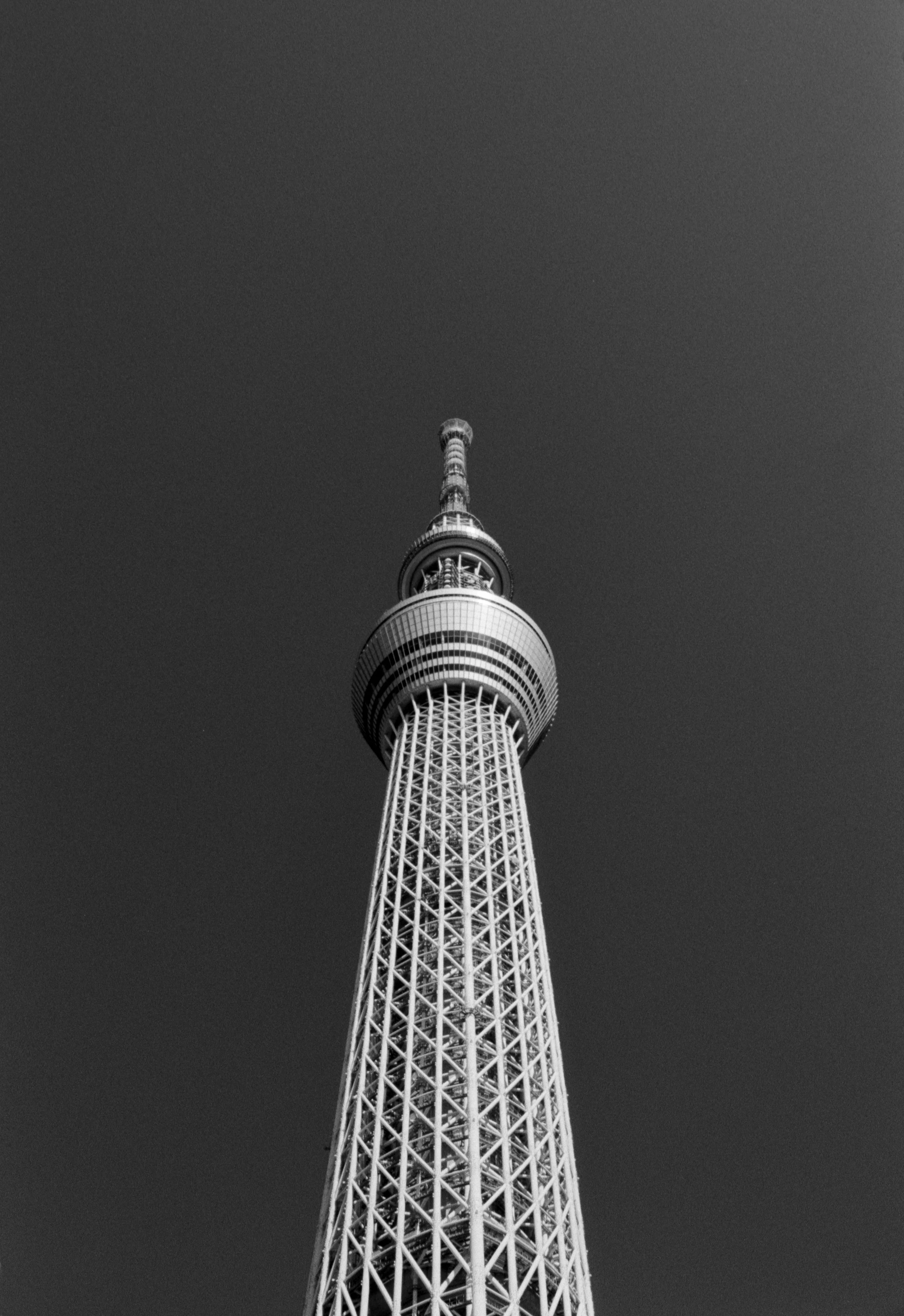 February 2026, Kodak Tri-X 400, Nikon F2