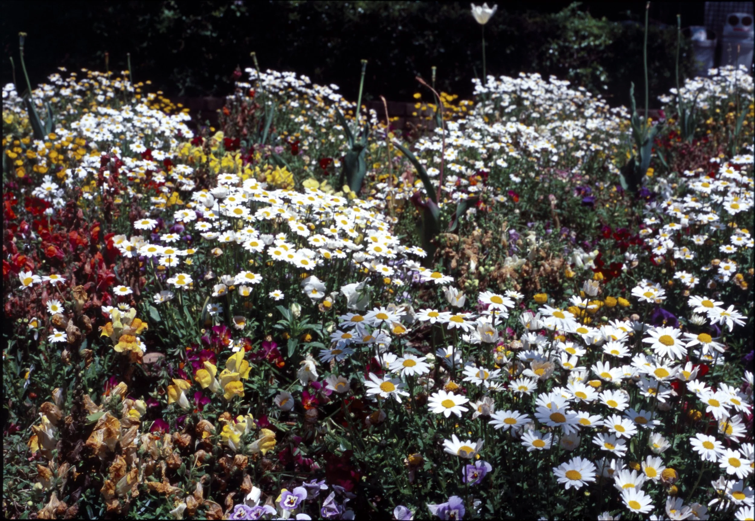 May 2025
Velvia 100
Nikon F2