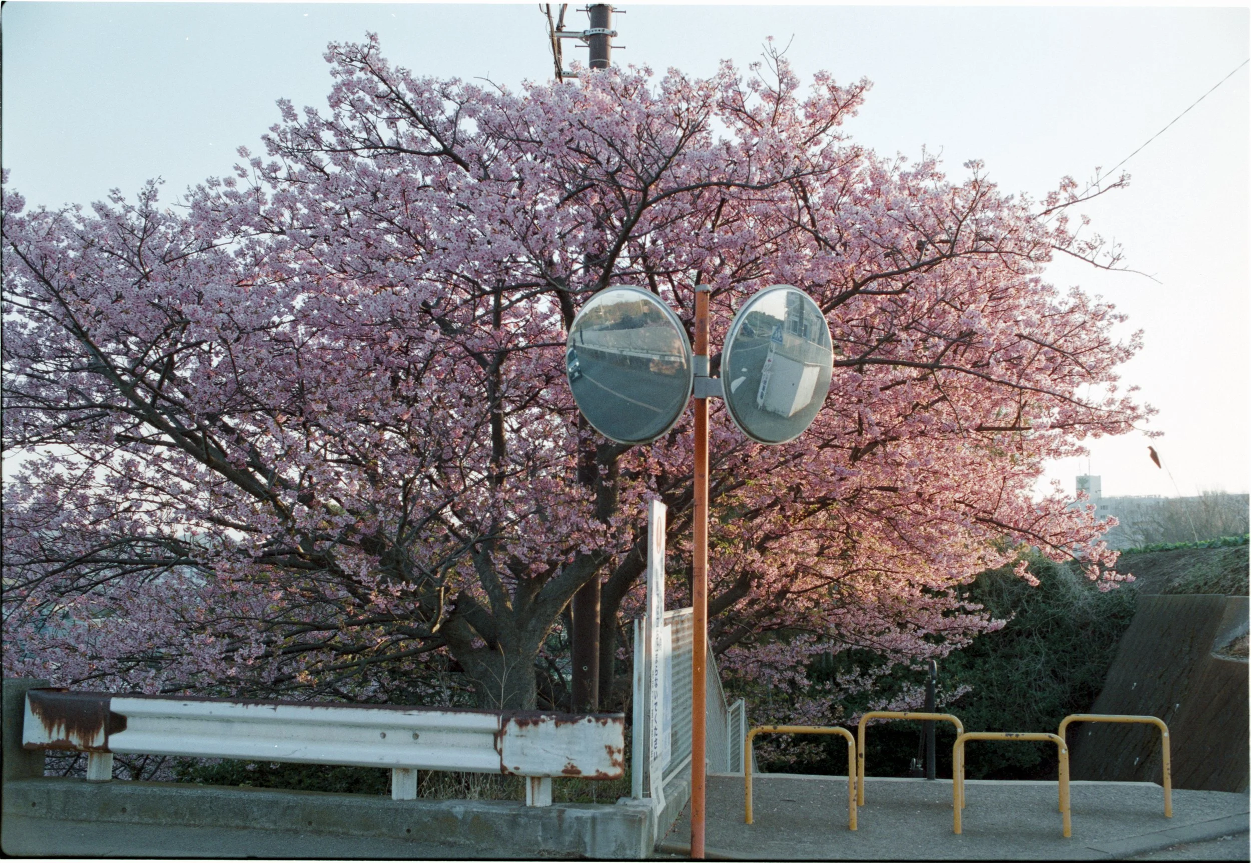 February 2026
Fujifilm Superia Premium 400
Nikon F2