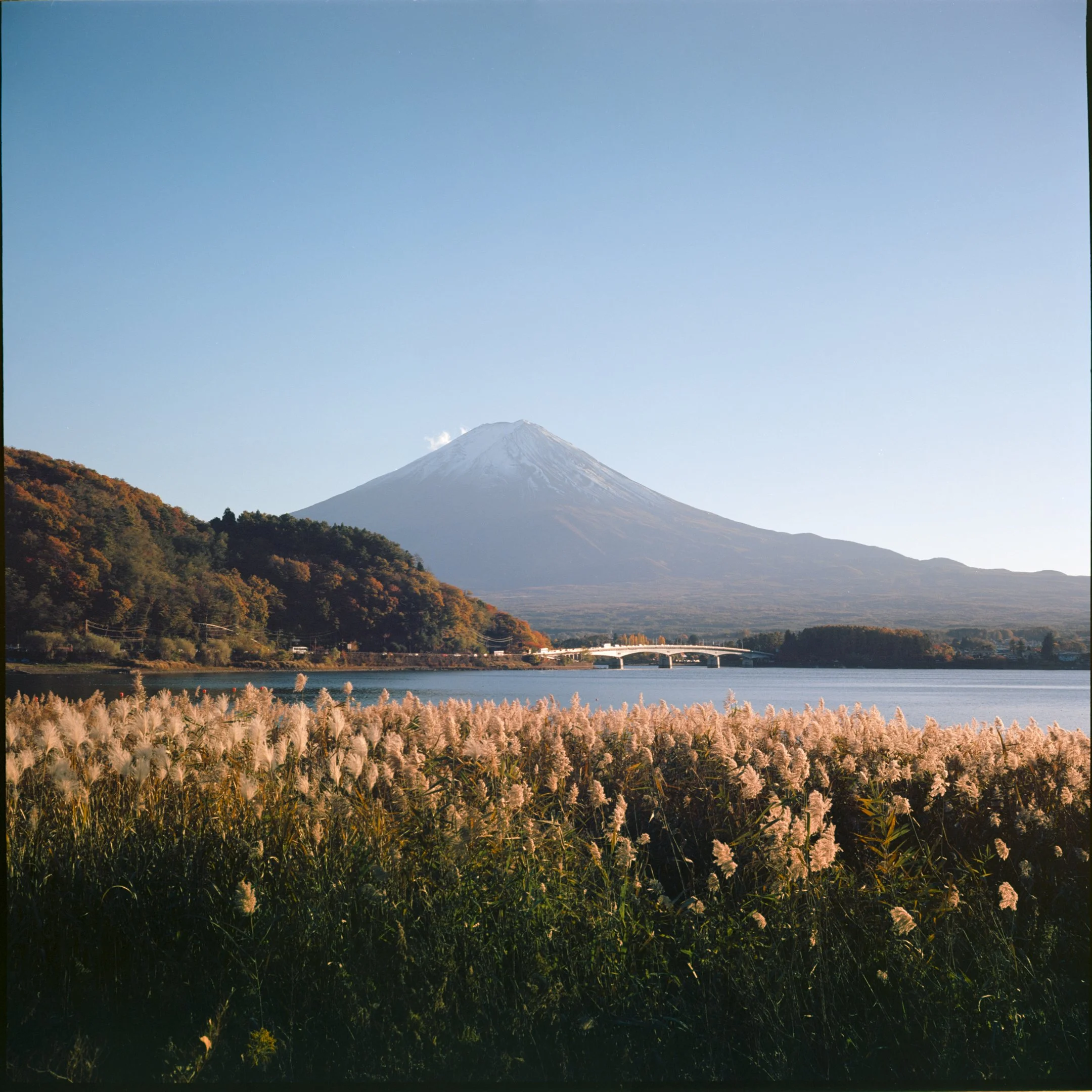 November 2025
Kodak Ektar 100
Mamiya 6