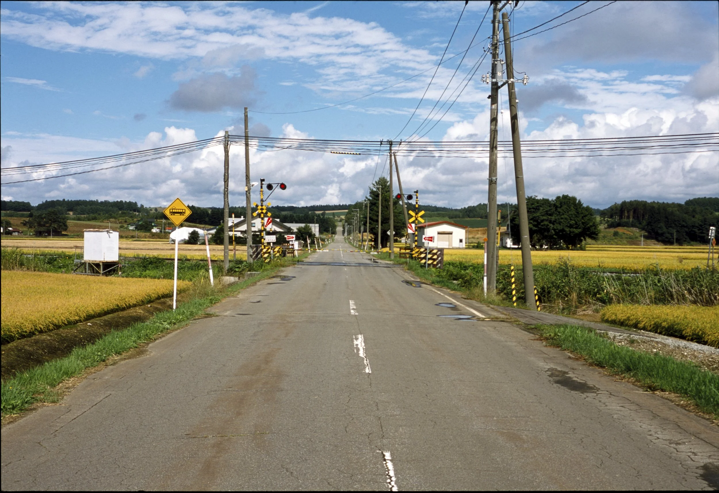 August 2025
Fujifilm Provia 100
Nikon F2