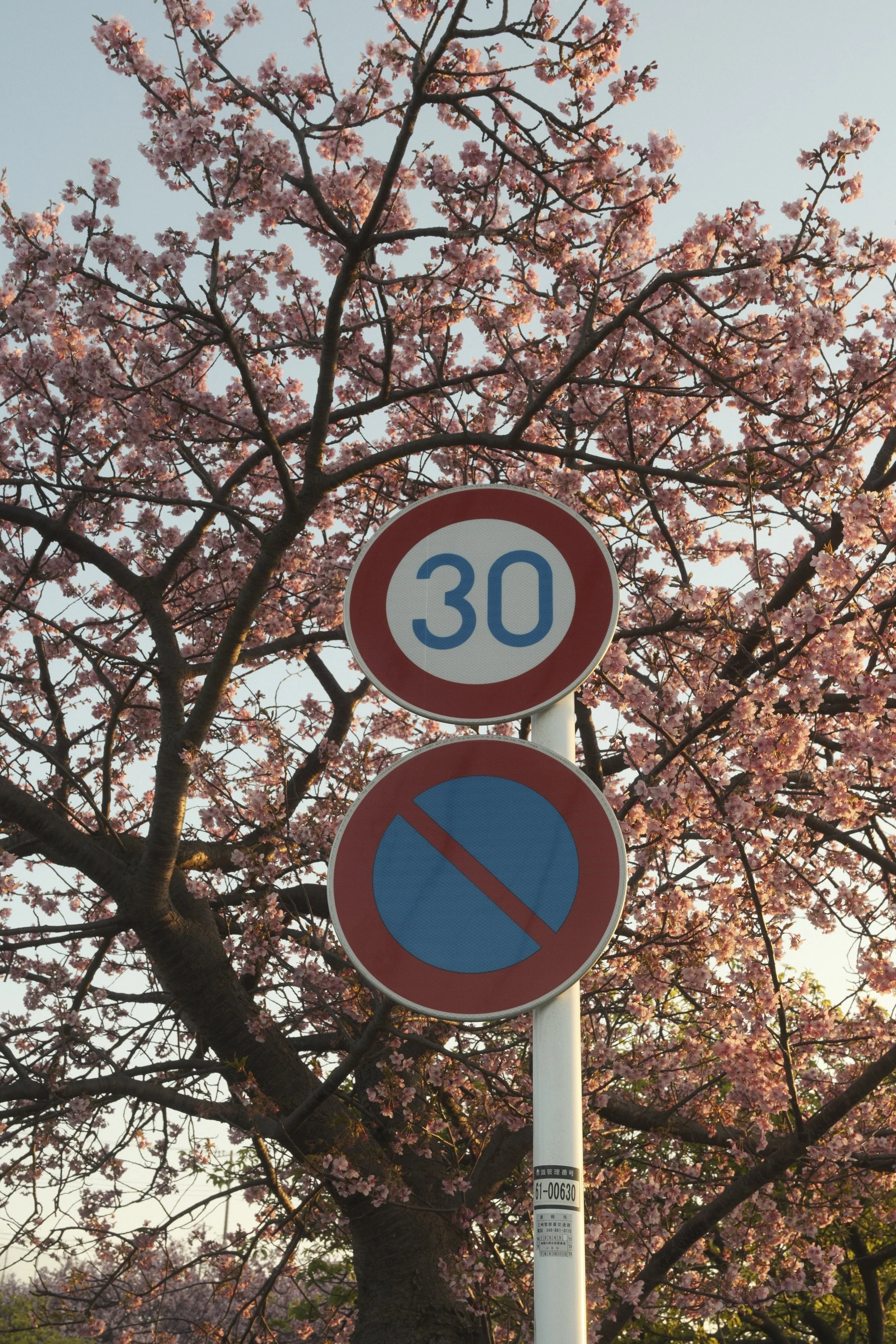 February 2026

Fujifilm X-T5

XF 16-50mm F2.8-4.8 R LM WR