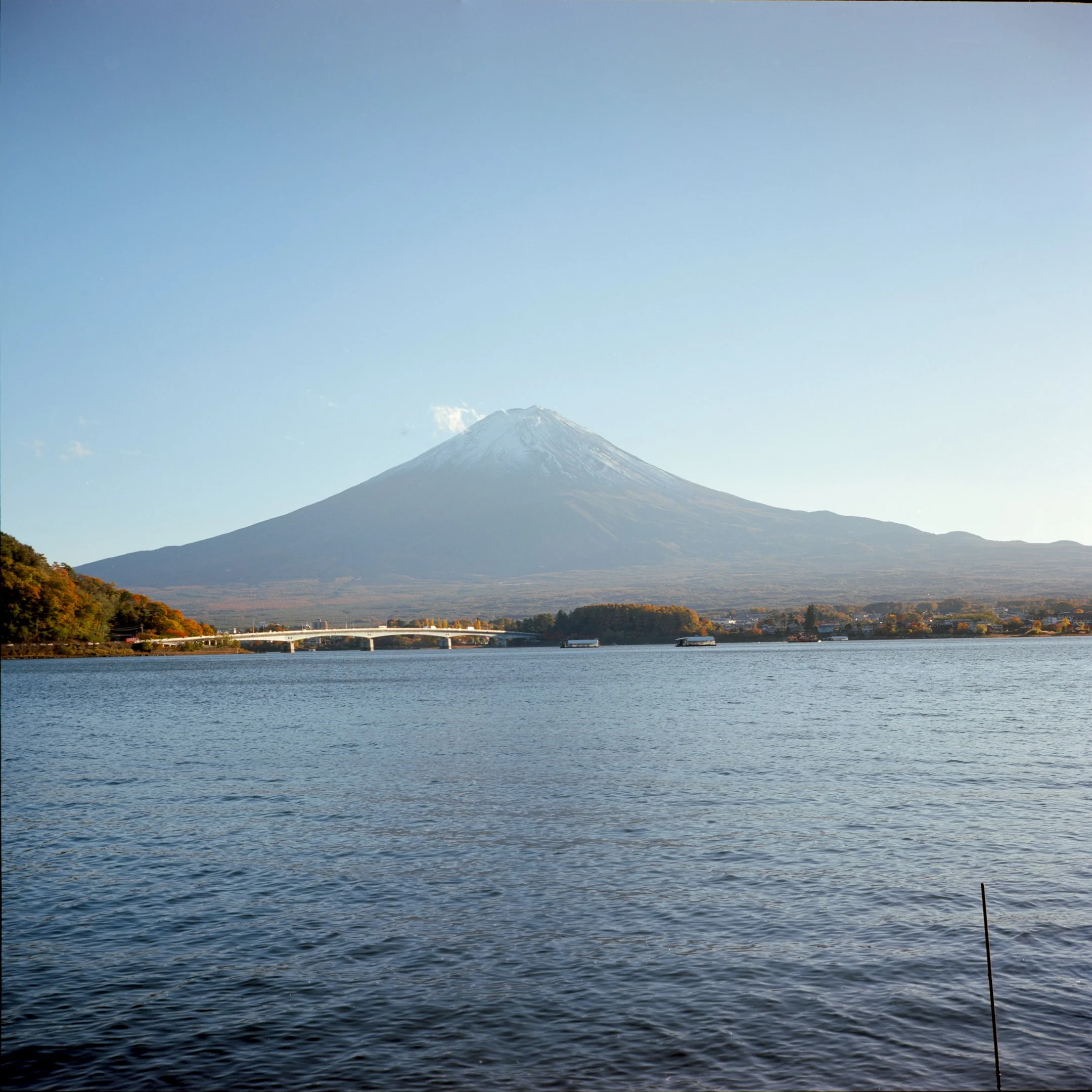 November 2025
Kodak Ektar 100
Mamiya 6