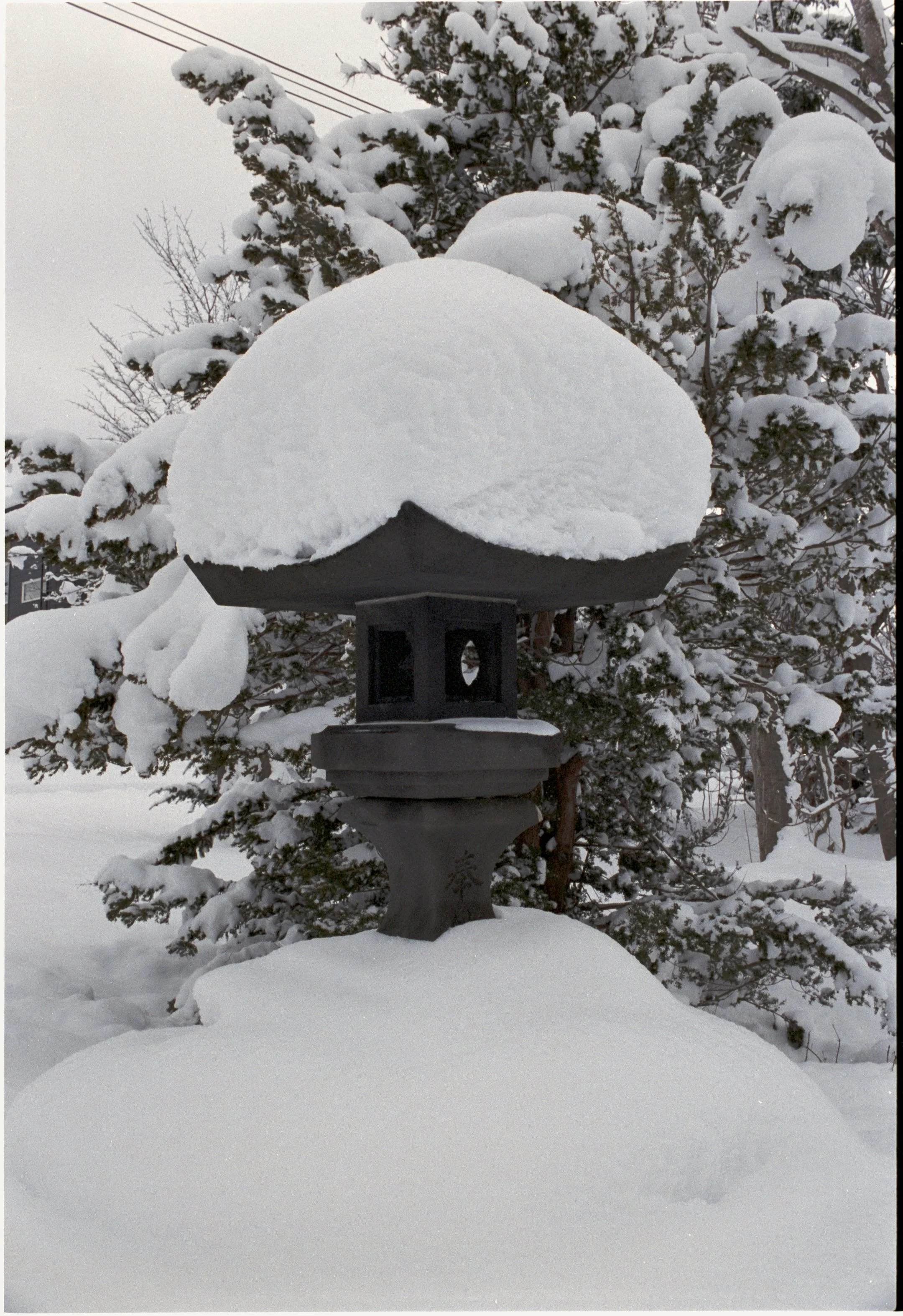 January 2026
Kodak Portra 400
Nikon F3